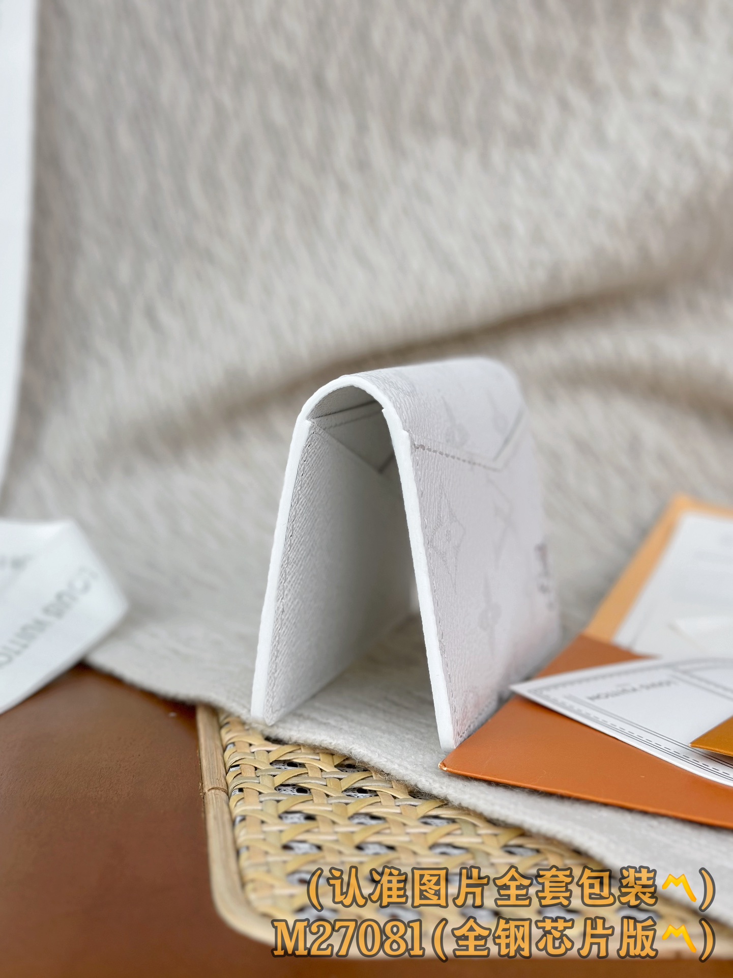 Louis Vuitton Basic Bag Canvas M-s