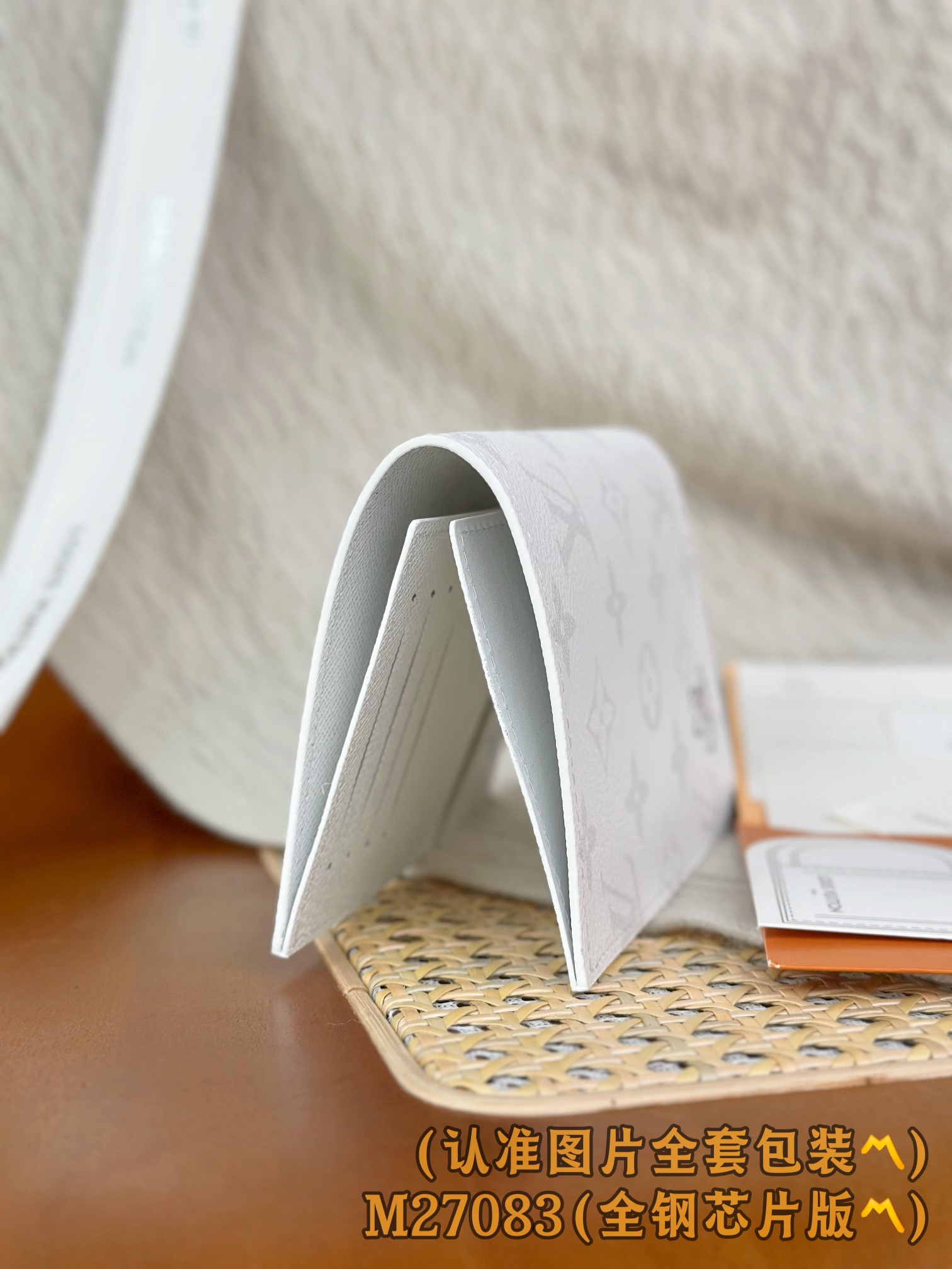 Louis Vuitton Basic Bag Canvas M-s