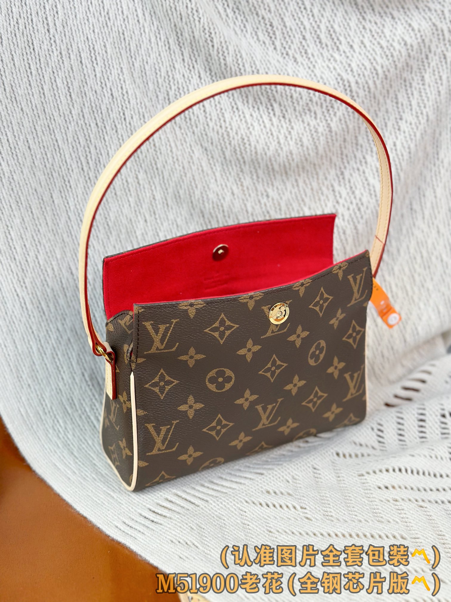 Louis Vuitton Basic Bag Canvas M-12cm