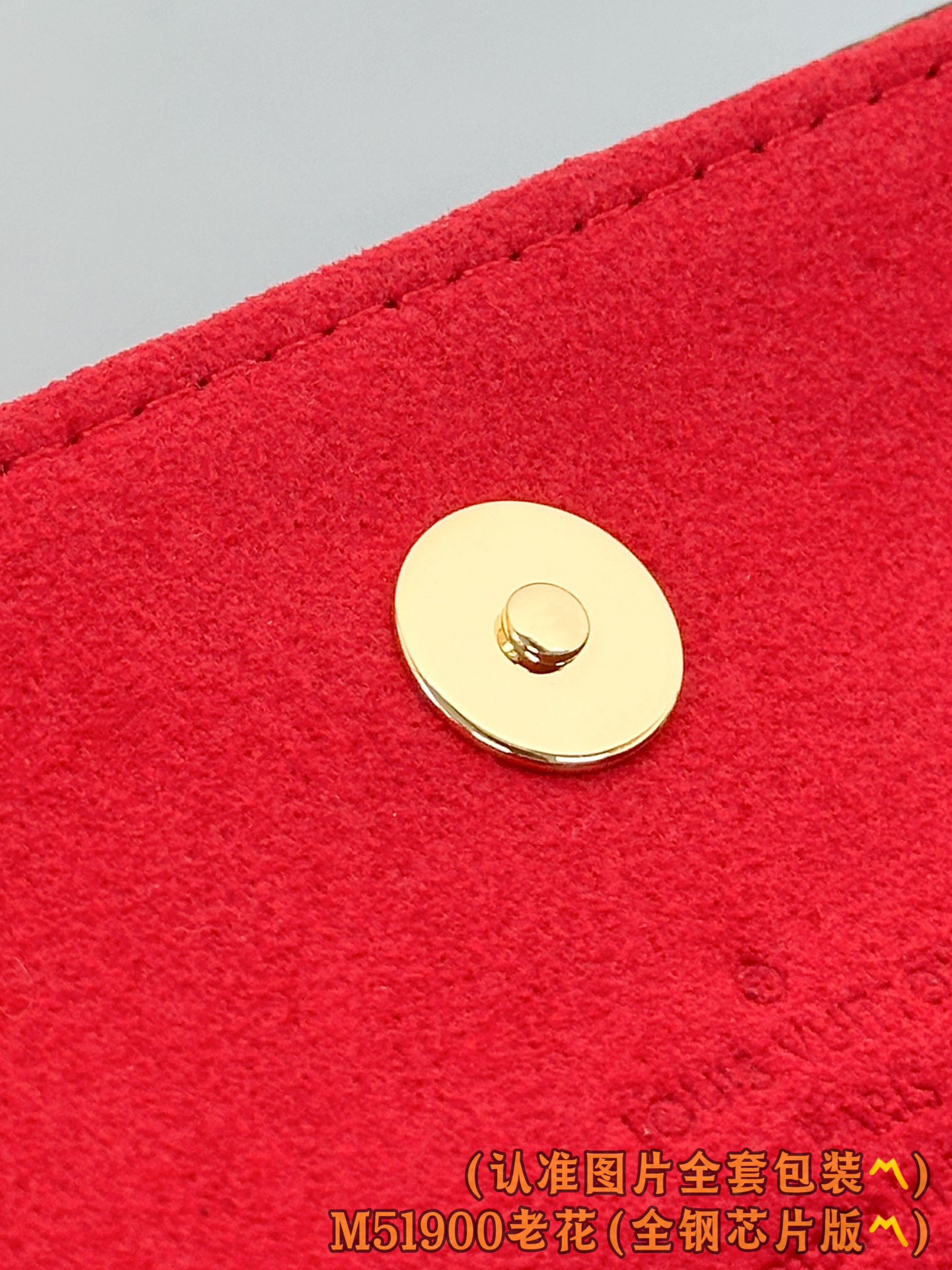 Louis Vuitton Basic Bag Canvas M-12cm