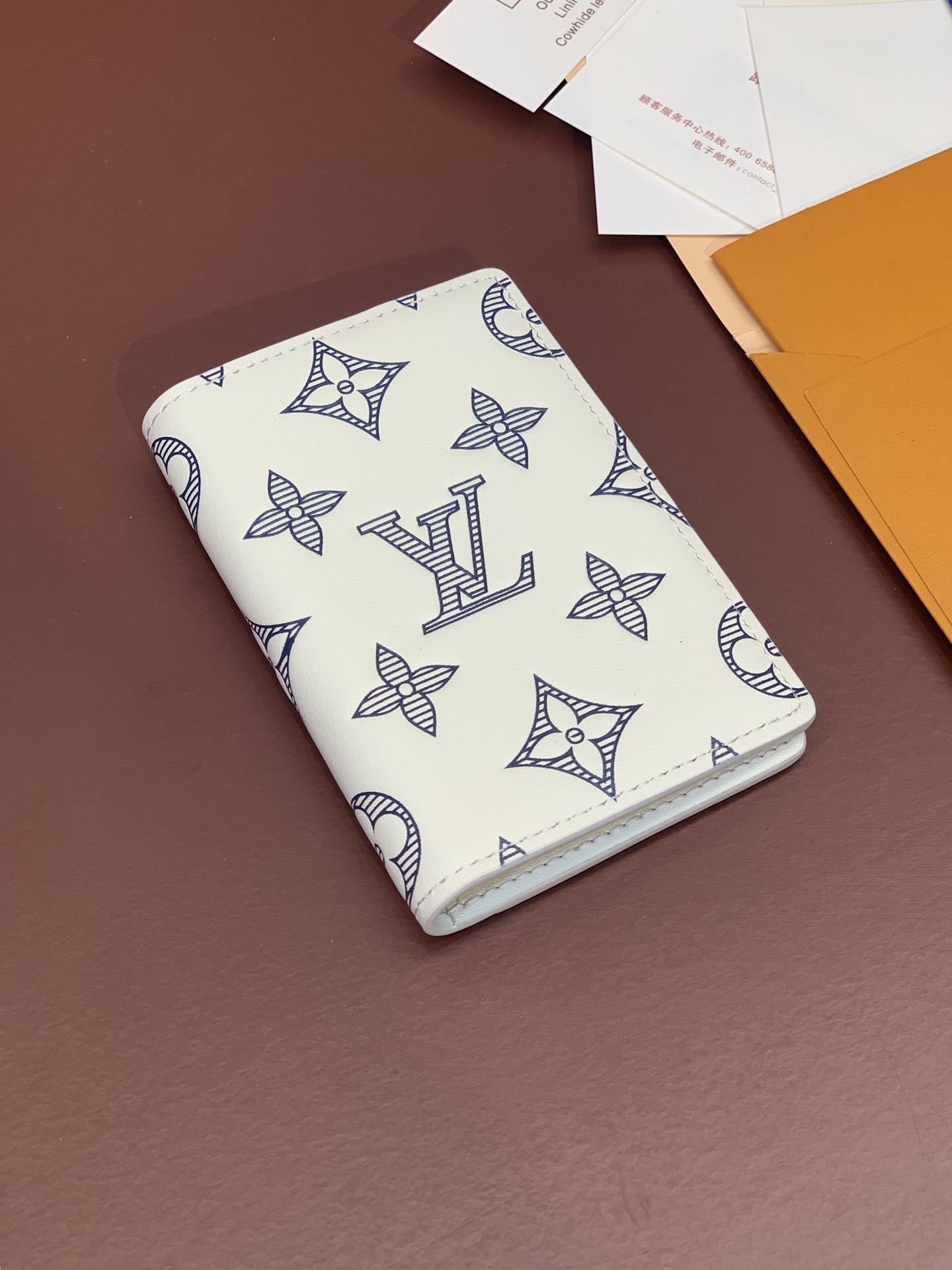 Louis Vuitton Basic Bag Cow Leather M-s