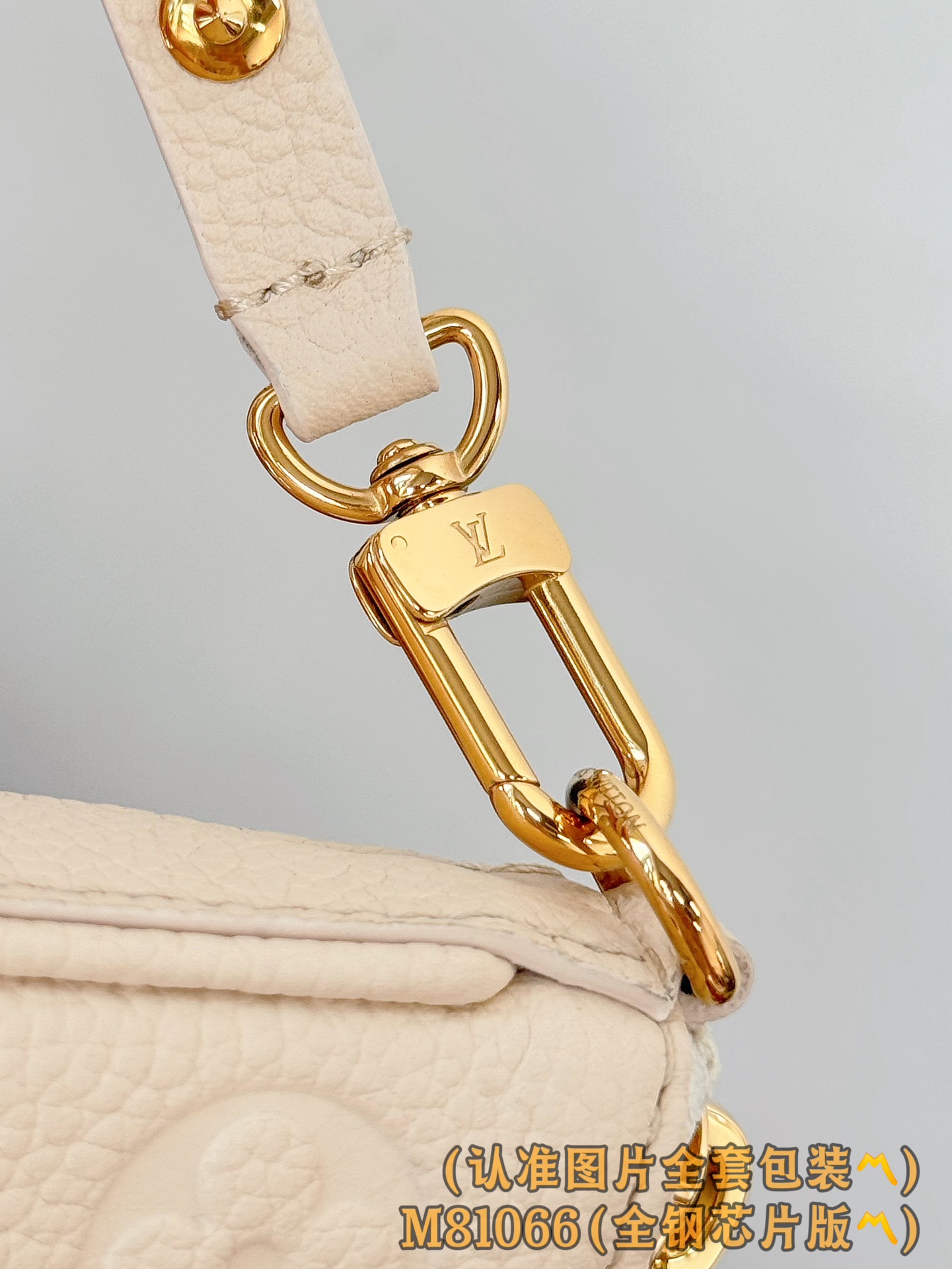 Louis Vuitton Basic Bag Cow Leather M-s