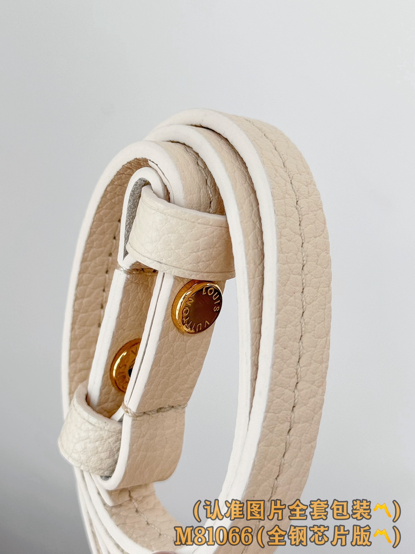 Louis Vuitton Basic Bag Cow Leather M-s