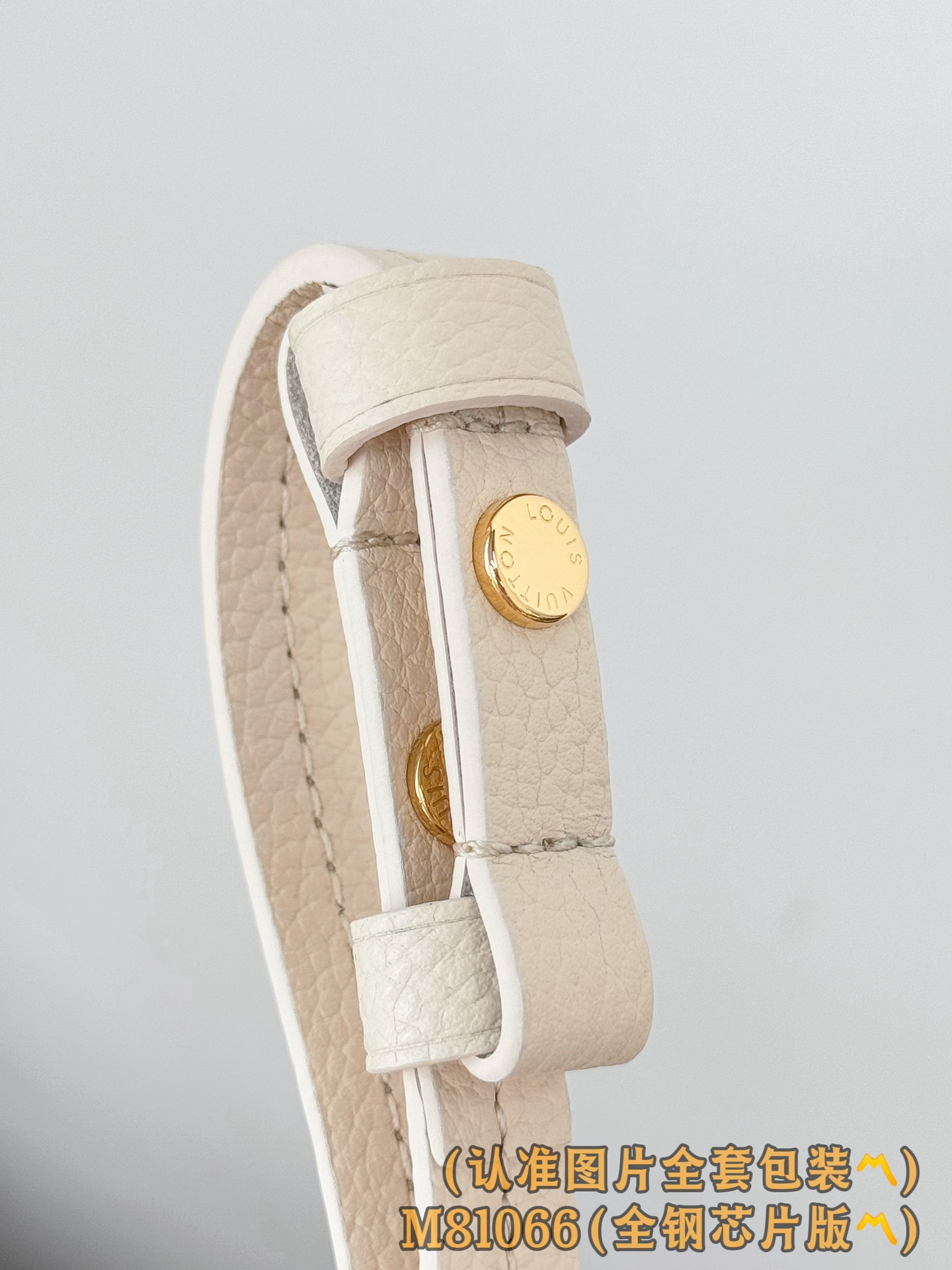 Louis Vuitton Basic Bag Cow Leather M-s