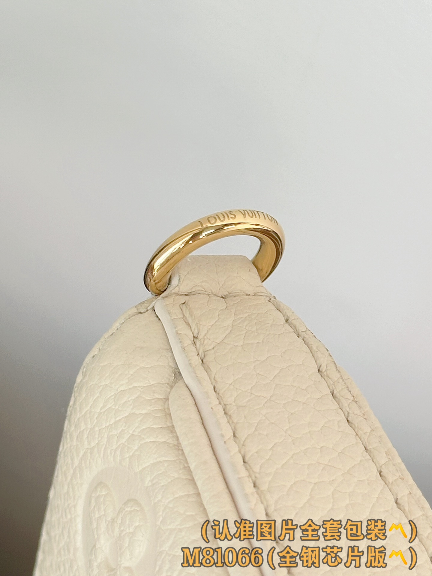 Louis Vuitton Basic Bag Cow Leather M-s