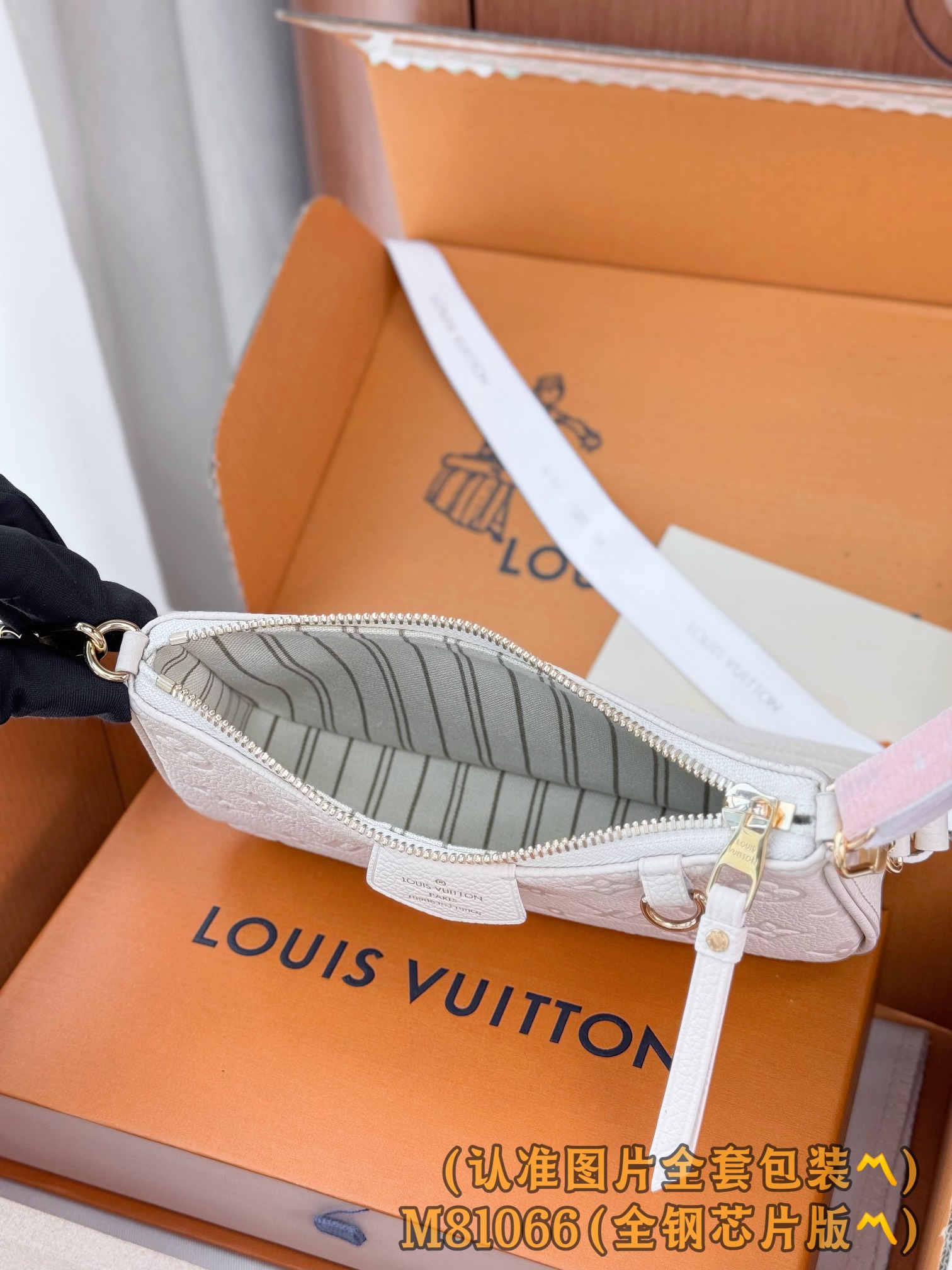 Louis Vuitton Basic Bag Cow Leather M-s