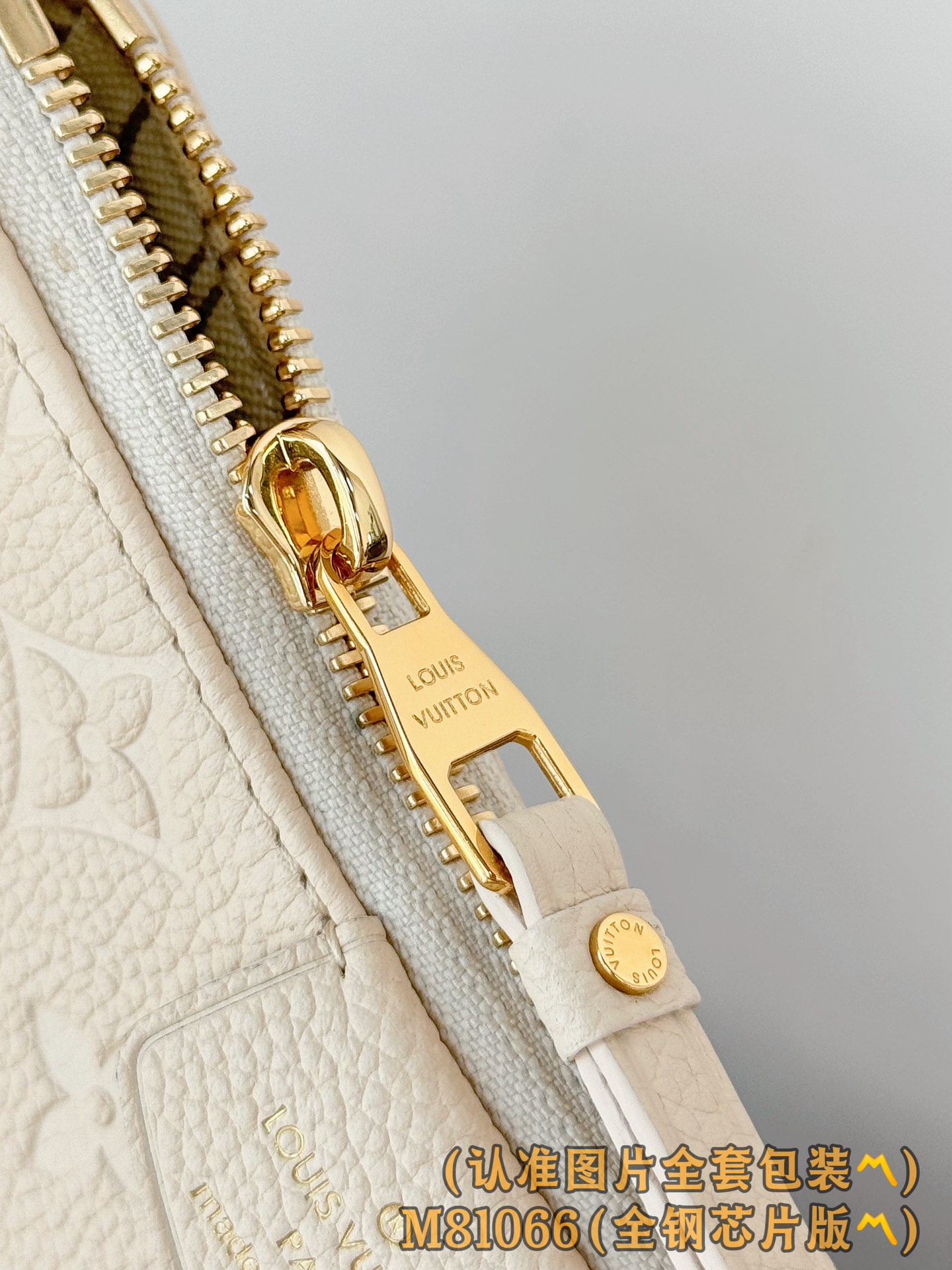 Louis Vuitton Basic Bag Cow Leather M-s