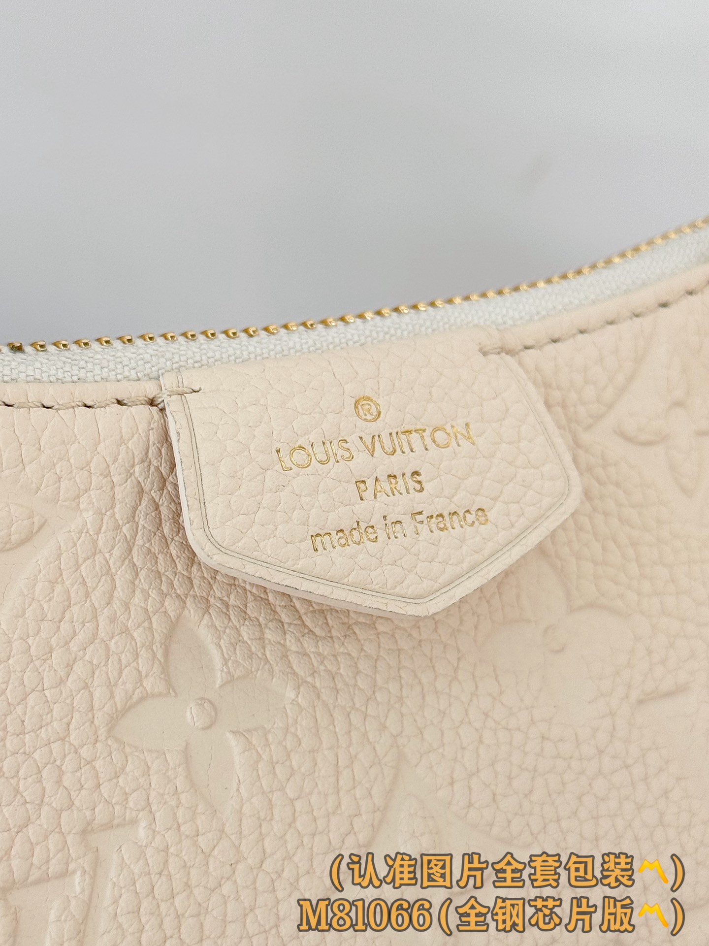 Louis Vuitton Basic Bag Cow Leather M-s