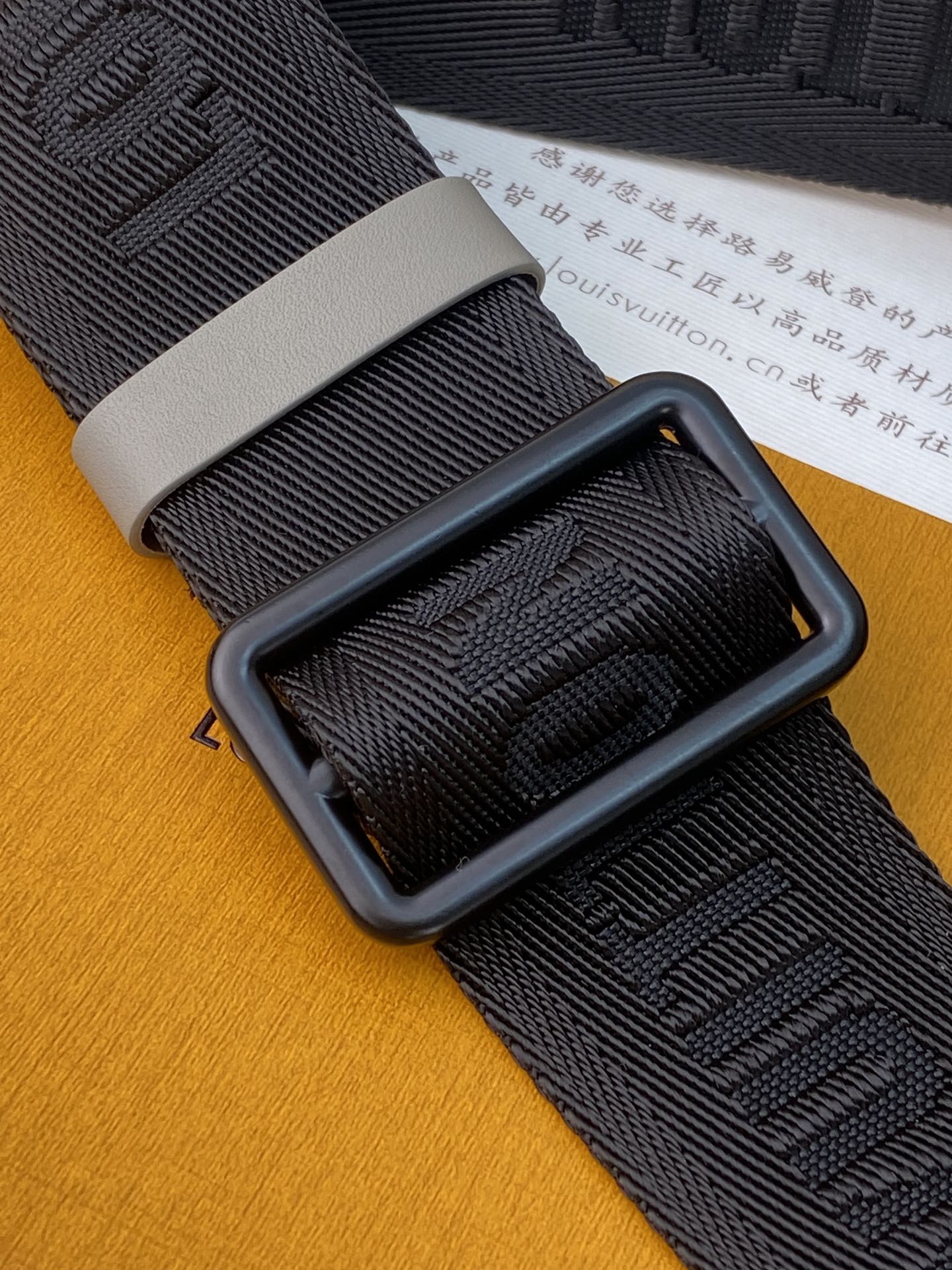 Louis Vuitton Basic Bag Cow Leather M-s