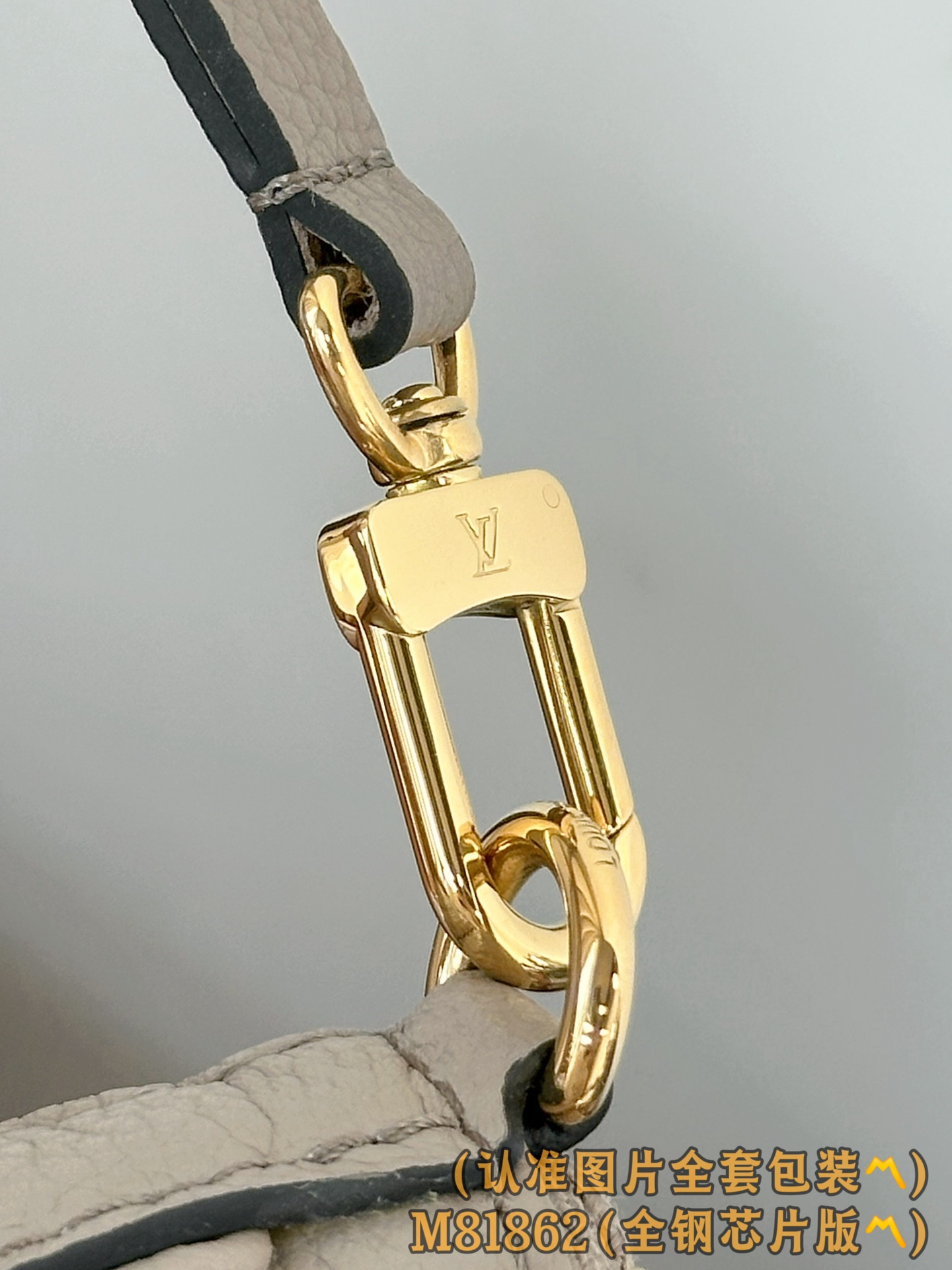 Louis Vuitton Basic Bag Cow Leather M-s