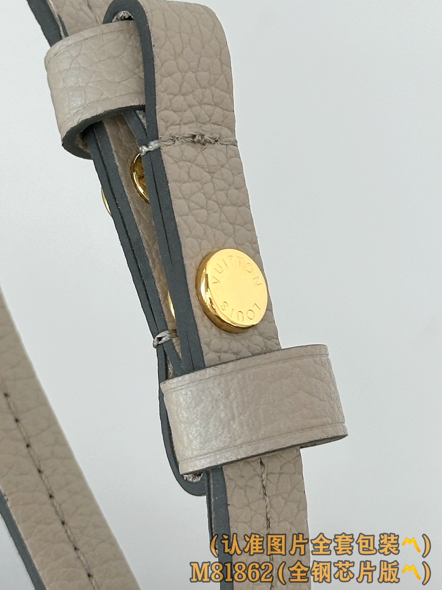 Louis Vuitton Basic Bag Cow Leather M-s