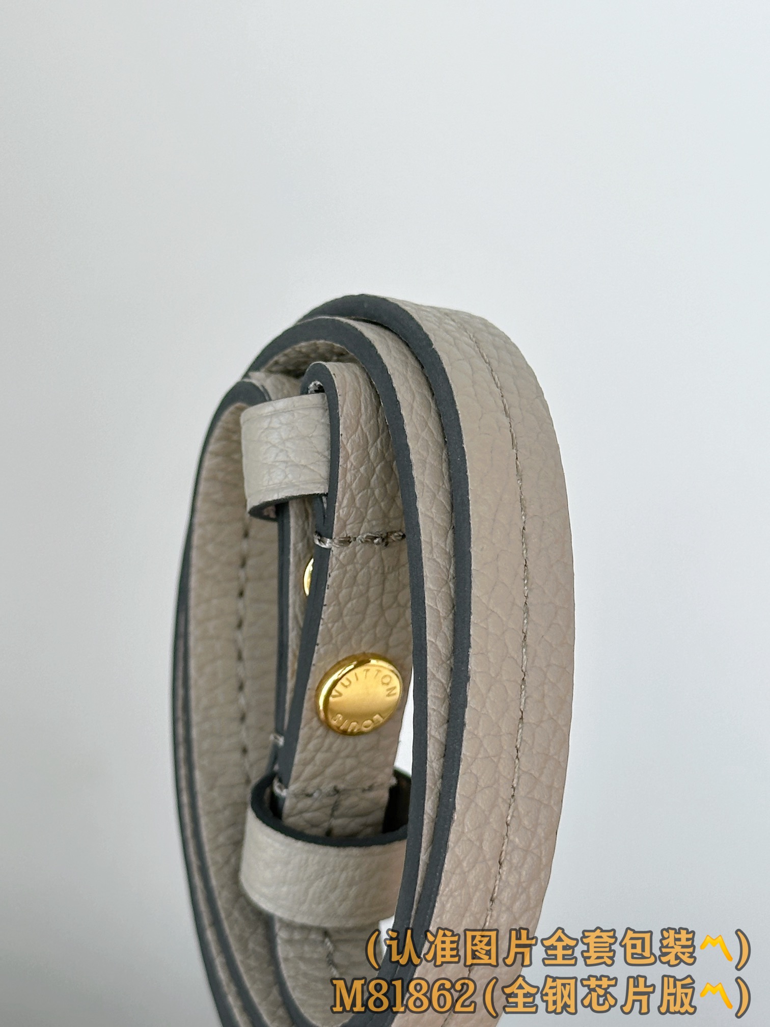 Louis Vuitton Basic Bag Cow Leather M-s