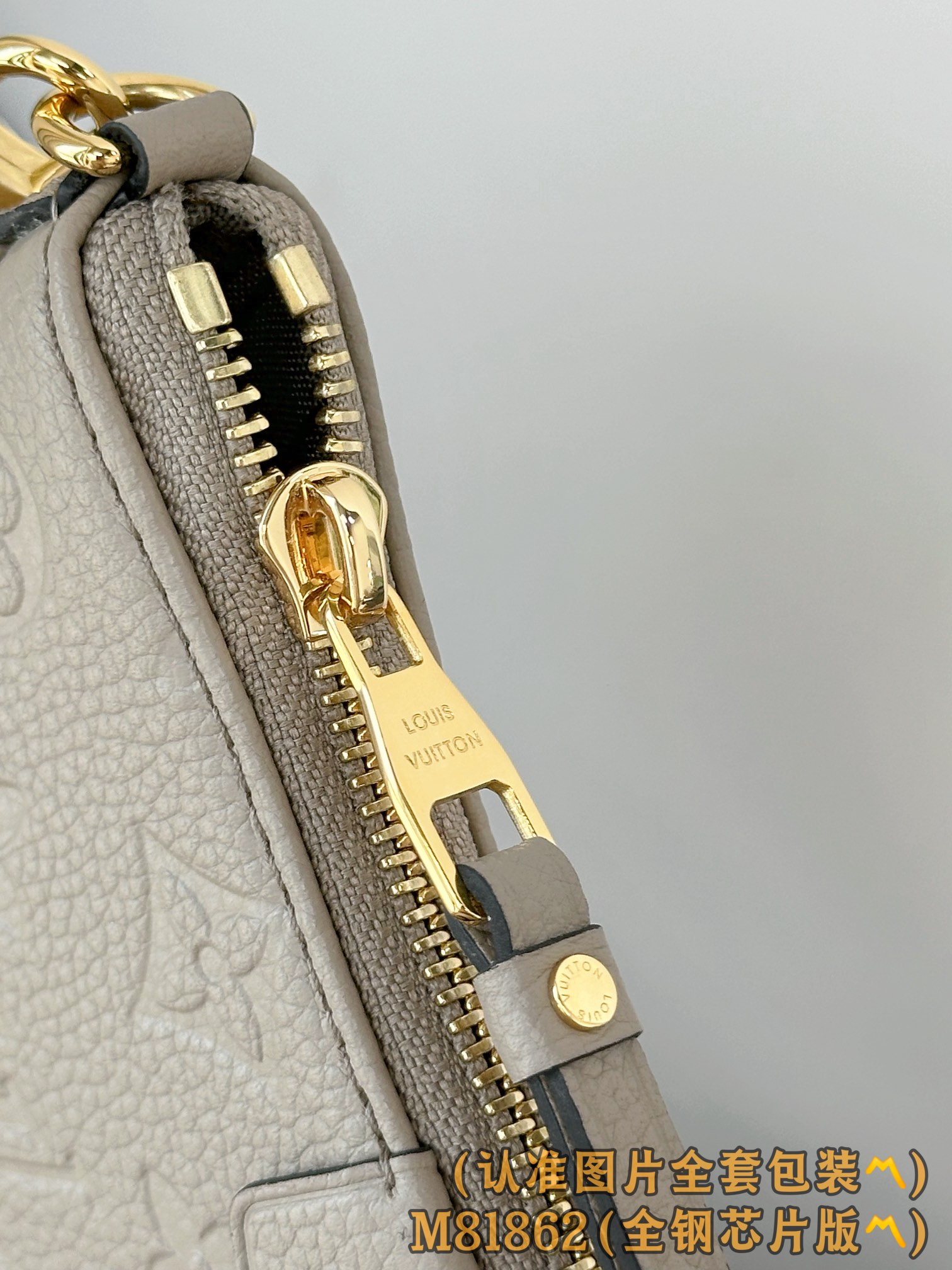 Louis Vuitton Basic Bag Cow Leather M-s