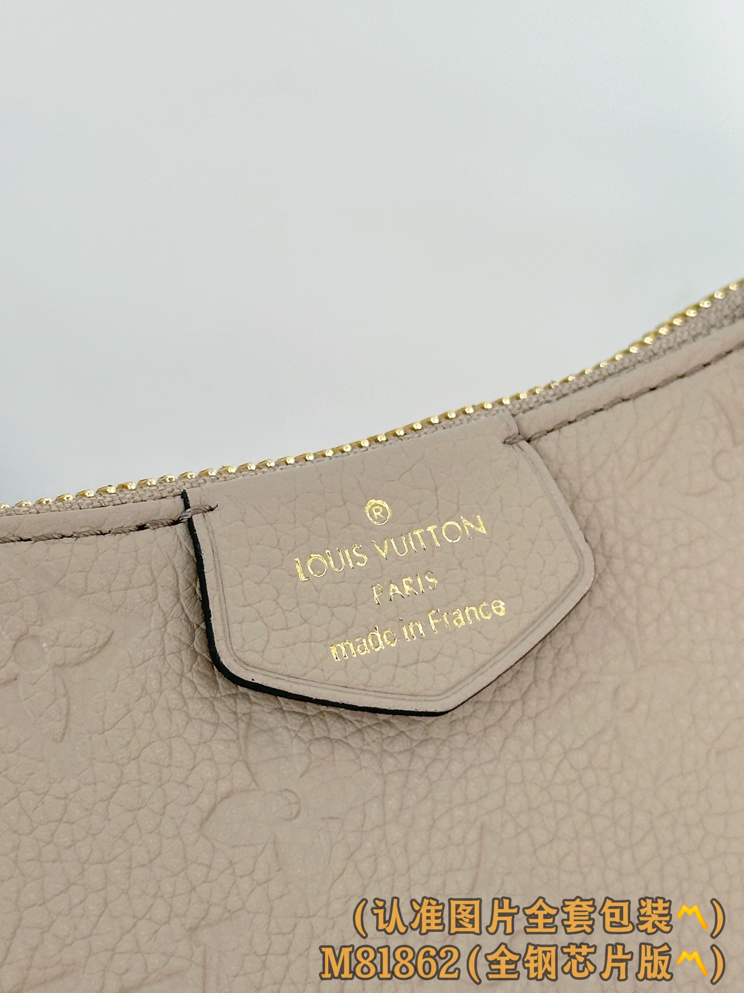 Louis Vuitton Basic Bag Cow Leather M-s