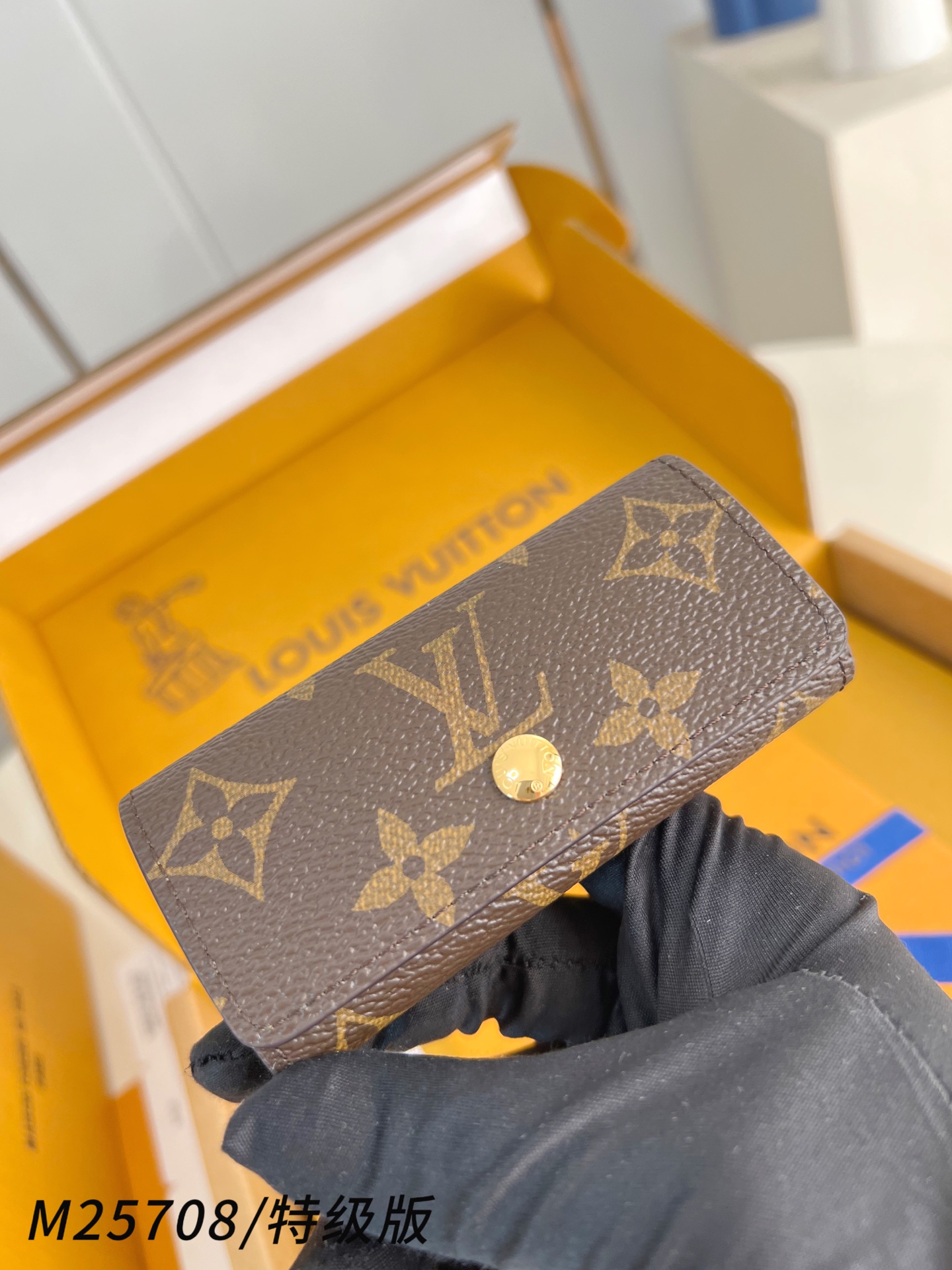 Louis Vuitton Basic Bag Canvas M