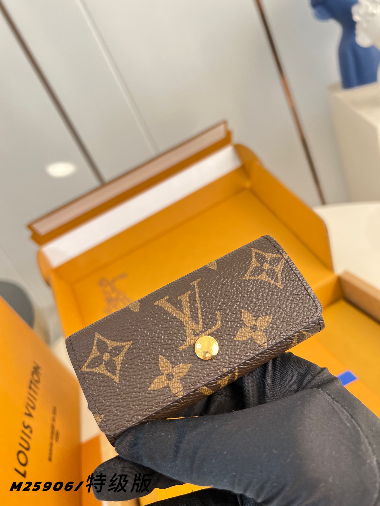 Louis Vuitton Basic Bag Canvas M