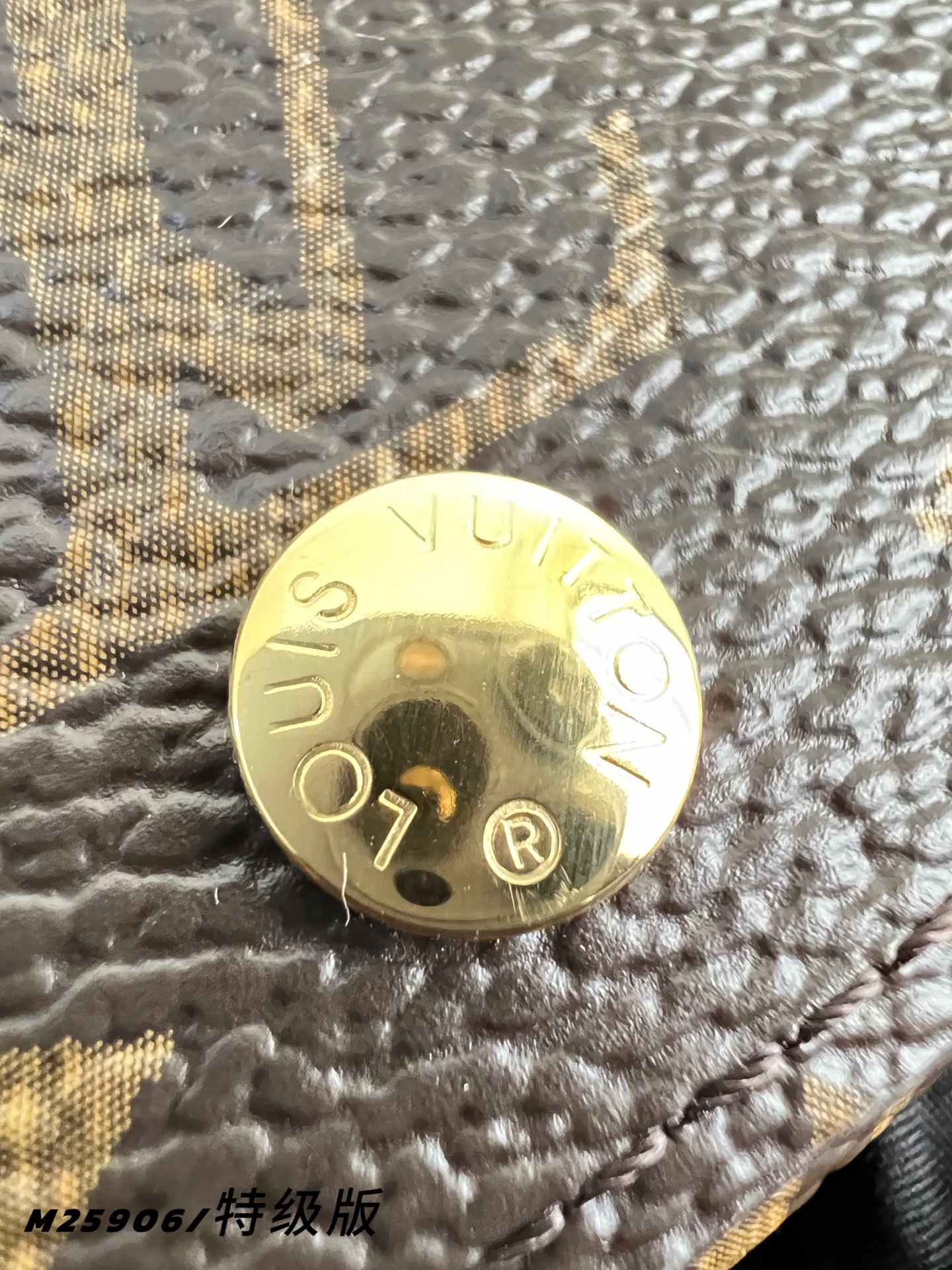 Louis Vuitton Basic Bag Canvas M