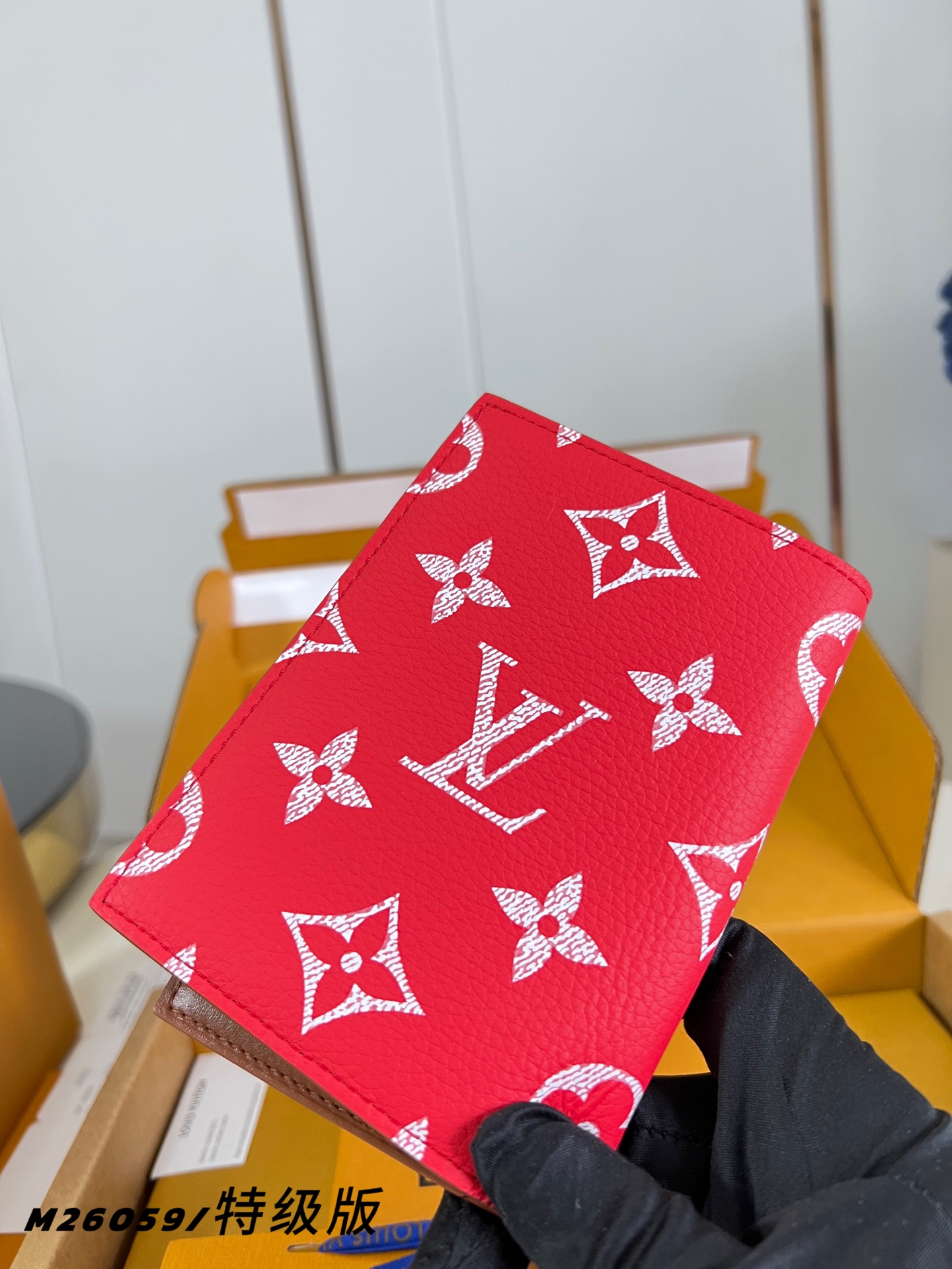 Louis Vuitton Basic Bag Canvas Red M