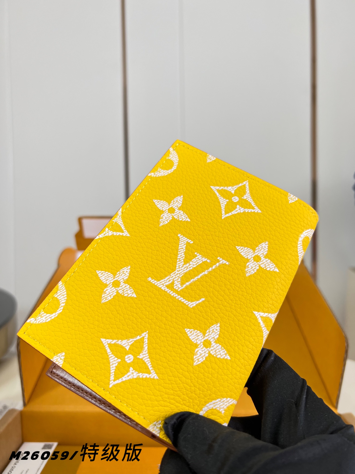 Louis Vuitton Basic Bag Canvas M