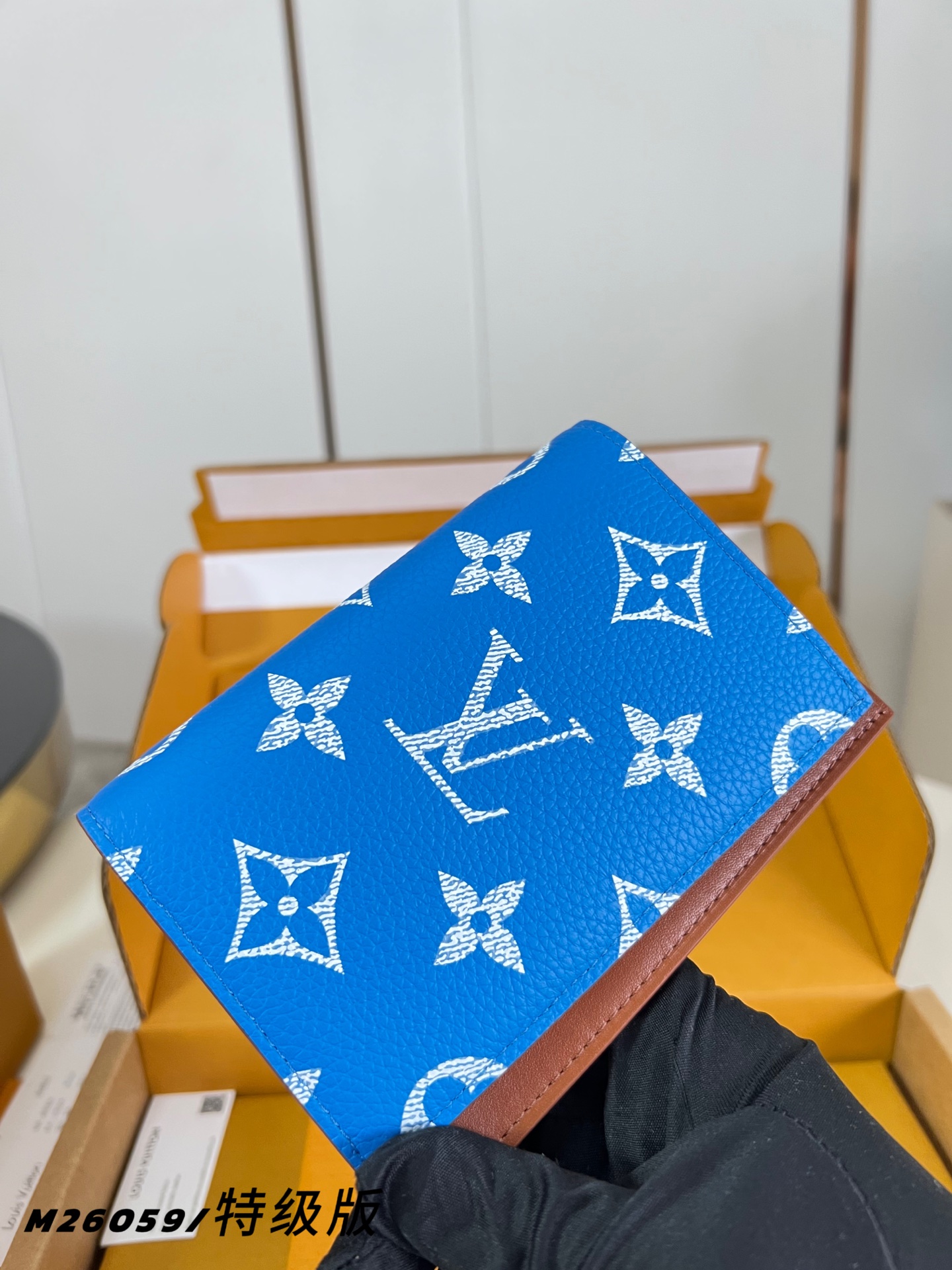 Louis Vuitton Basic Bag Canvas M