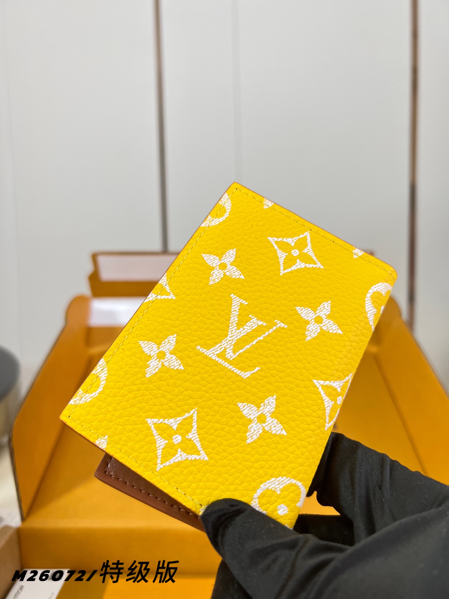 Louis Vuitton Basic Bag M-s