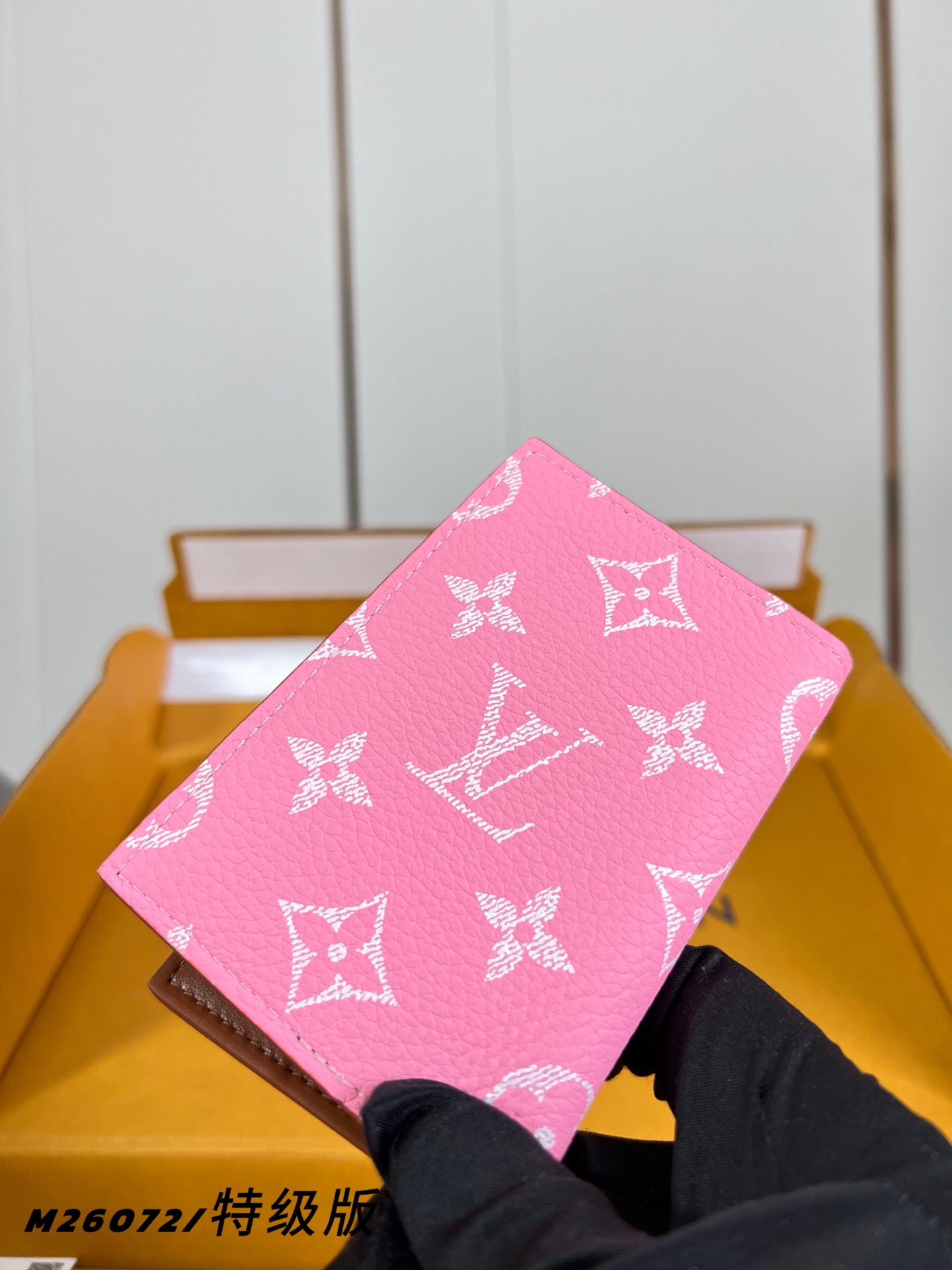 Louis Vuitton Basic Bag M-s