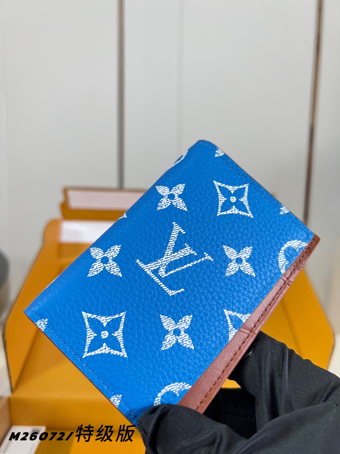 Louis Vuitton Basic Bag M-s