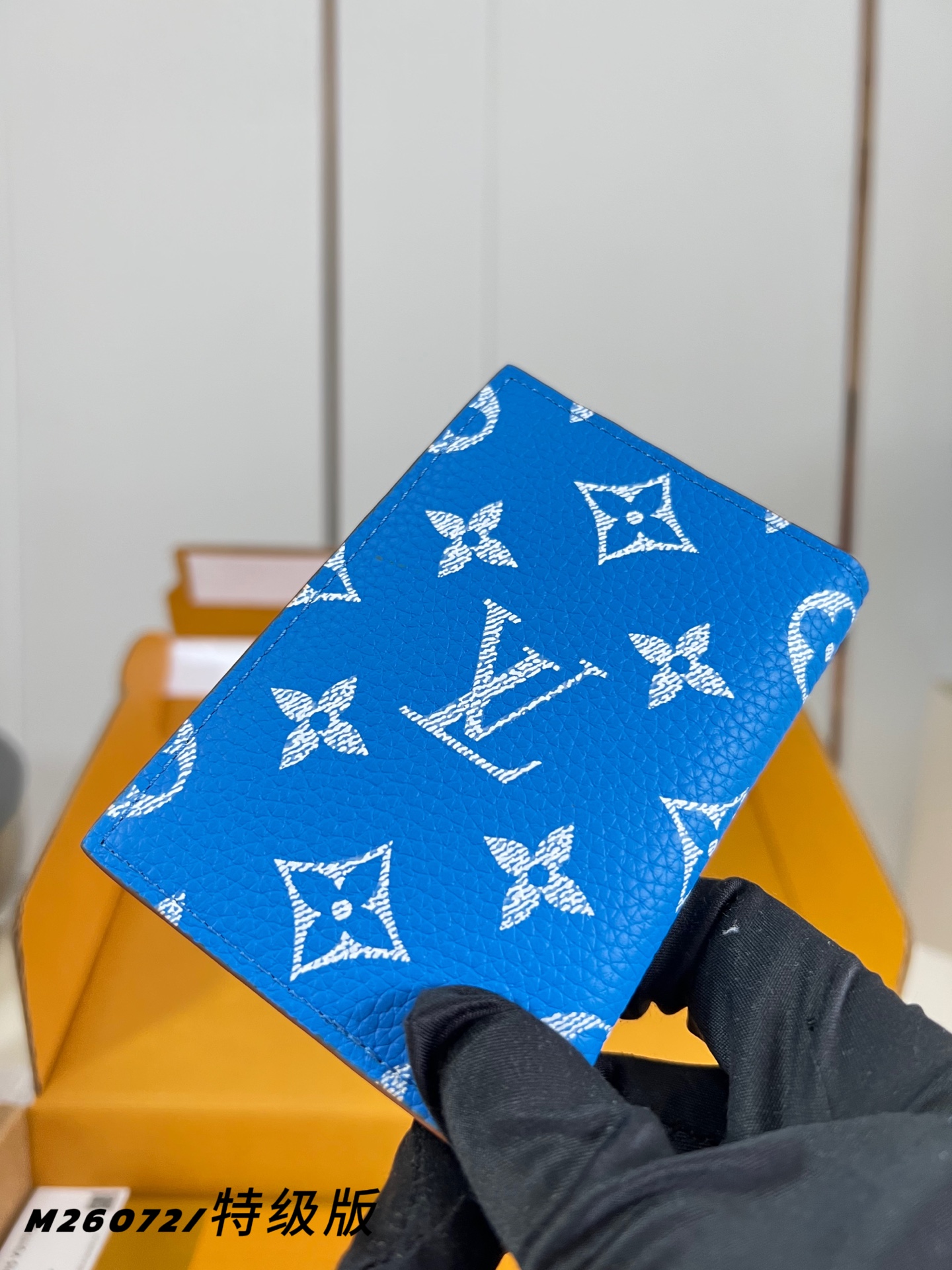 Louis Vuitton Basic Bag M-s