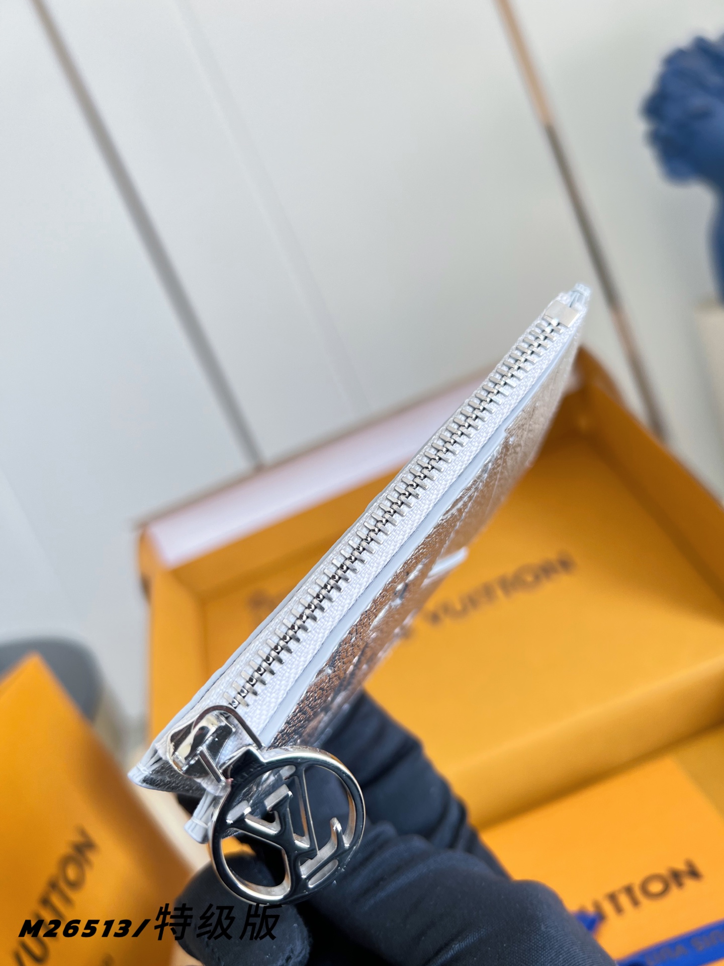 Louis Vuitton Basic Bag Canvas M-l