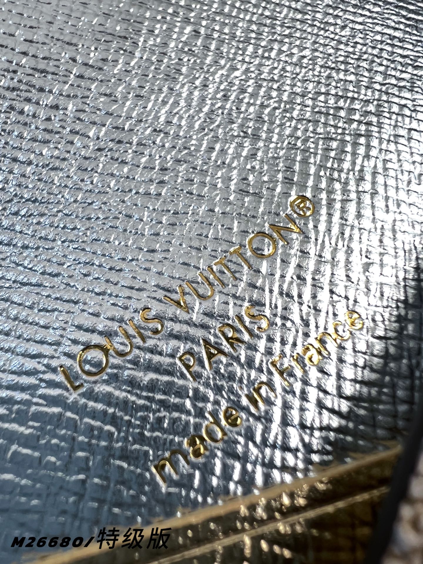 Louis Vuitton Basic Bag Cow Leather Gold M-l-s