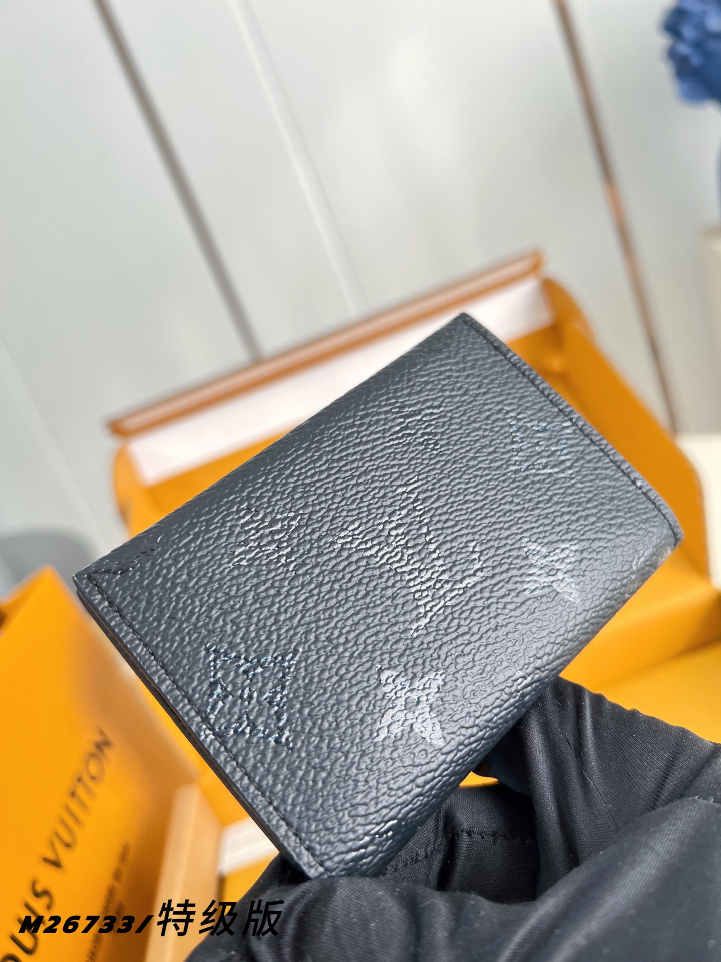 Louis Vuitton Basic Bag Canvas M-l-s