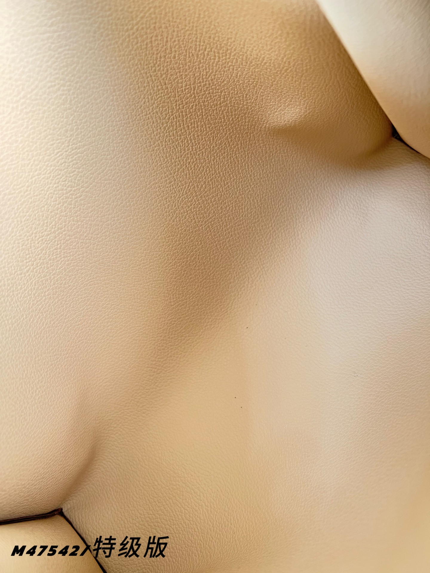 Louis Vuitton Basic Bag Cow Leather M-l