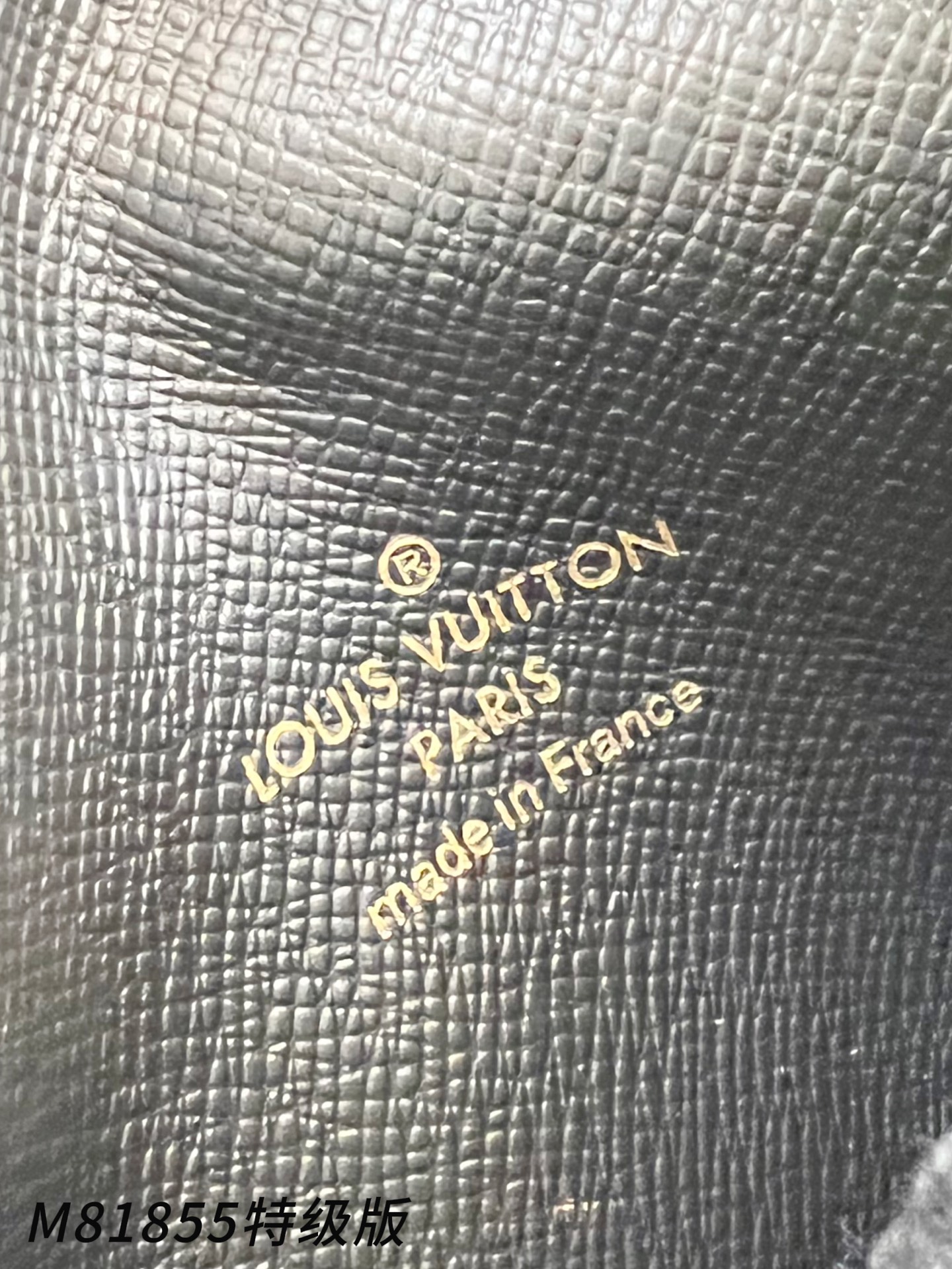 Louis Vuitton Basic Bag Canvas Gold M-s