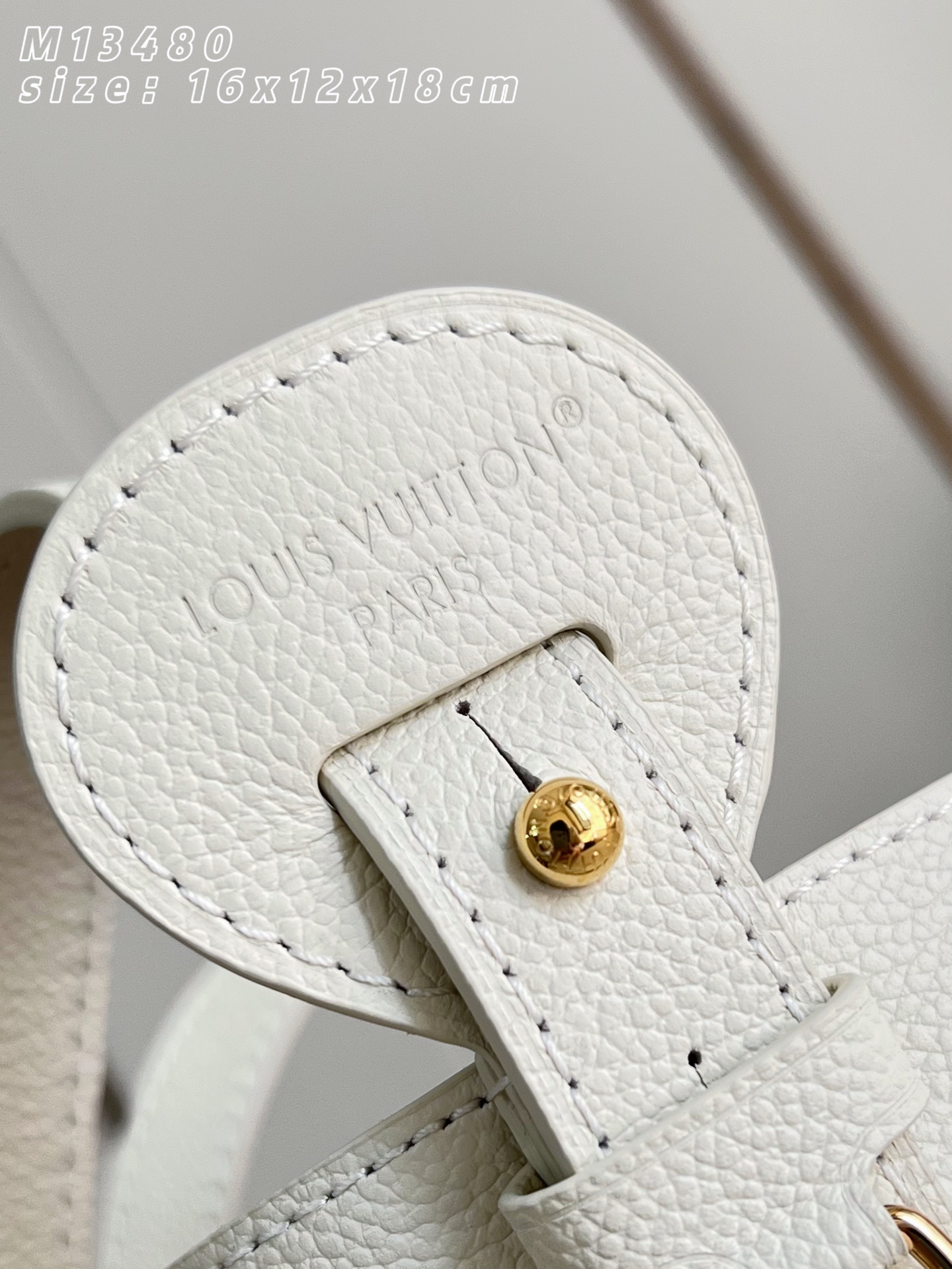 Louis Vuitton Basic Bag M-l