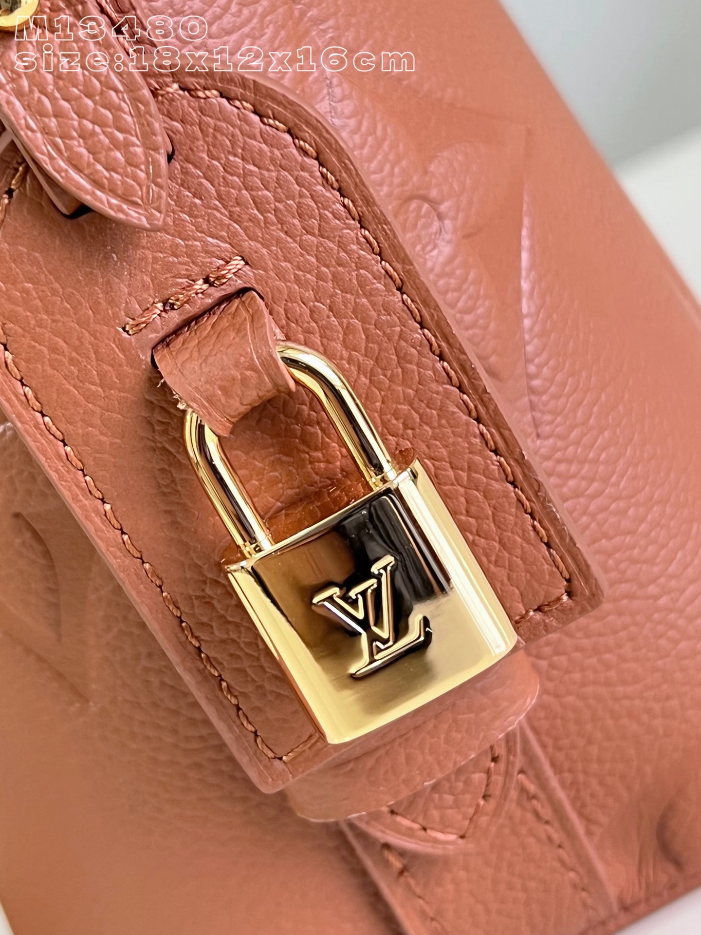 Louis Vuitton Basic Bag Cow Leather M-l