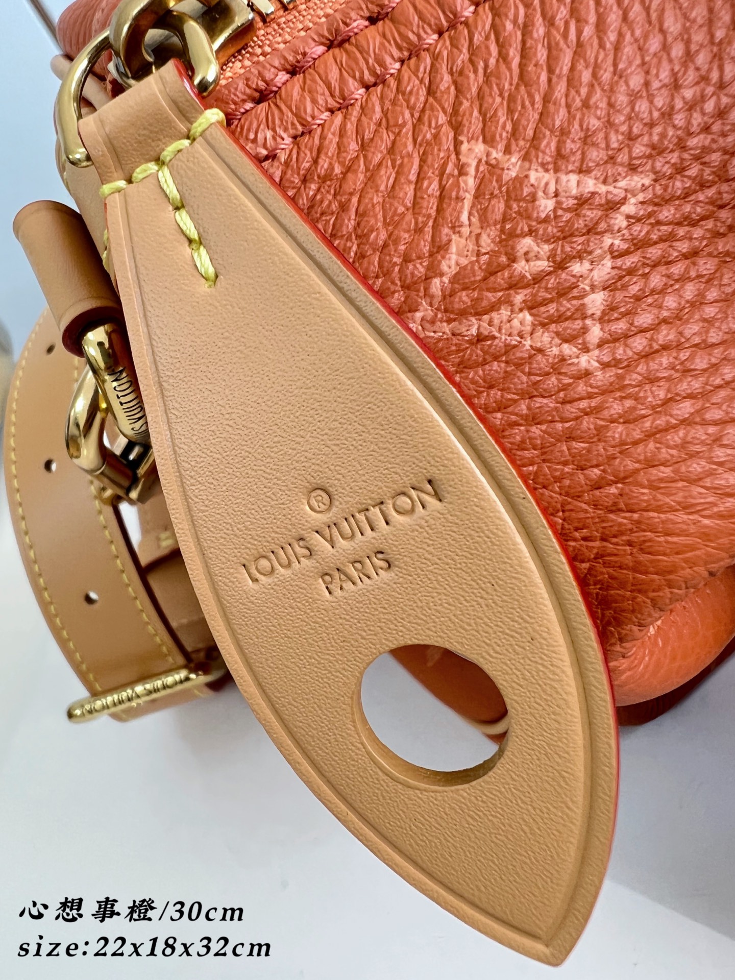 Louis Vuitton Basic Bag Cow Leather 30cm-m-l-s