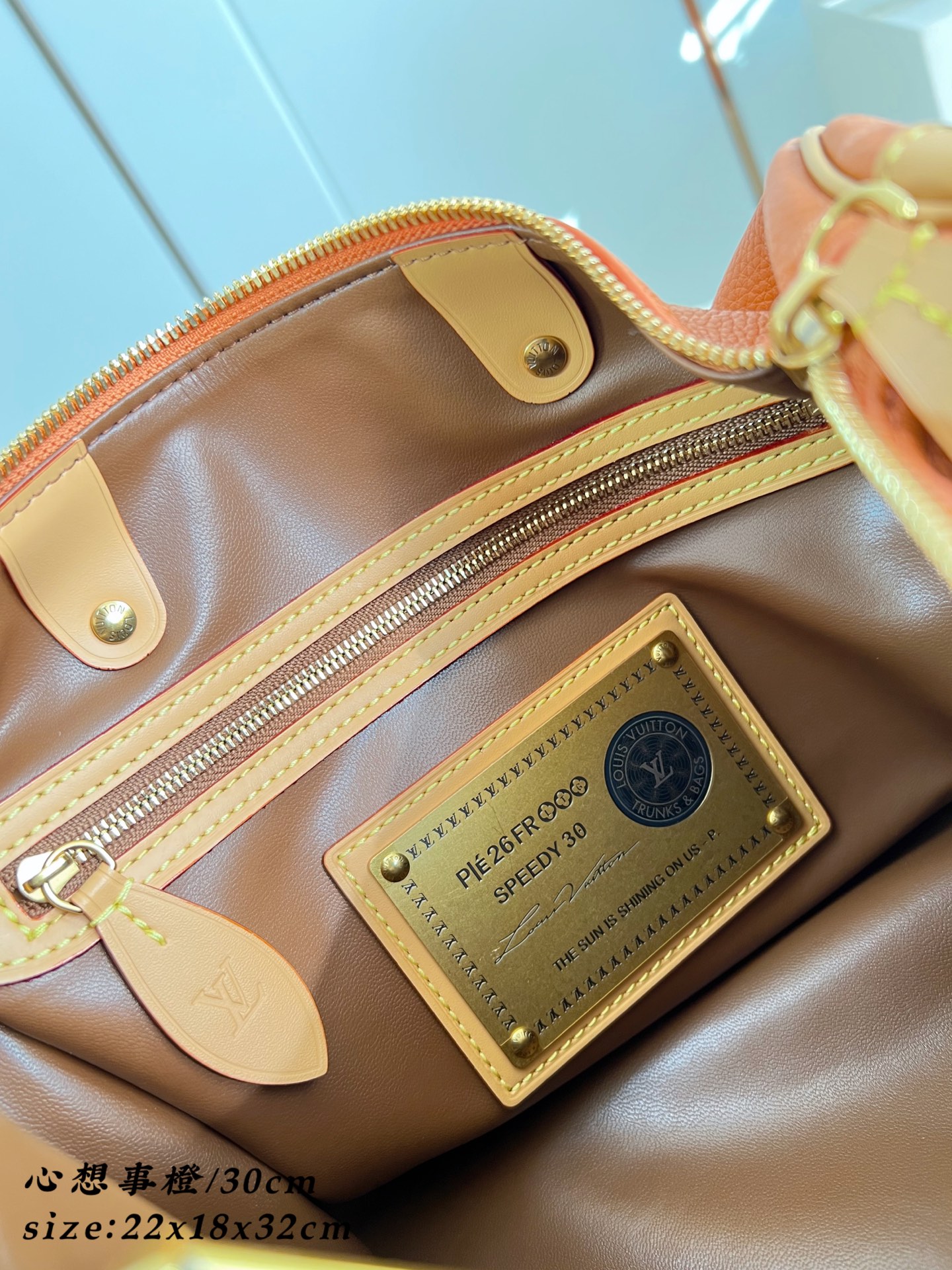 Louis Vuitton Basic Bag Cow Leather 30cm-m-l-s