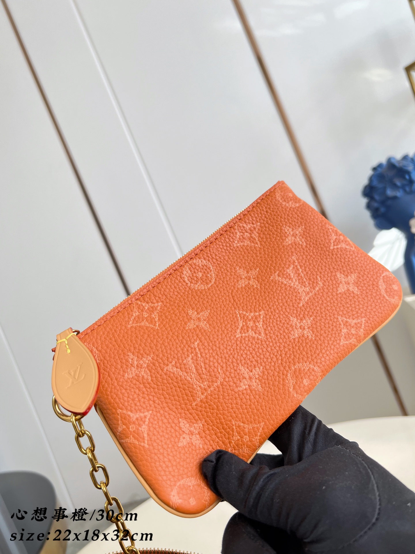 Louis Vuitton Basic Bag Cow Leather 30cm-m-l-s