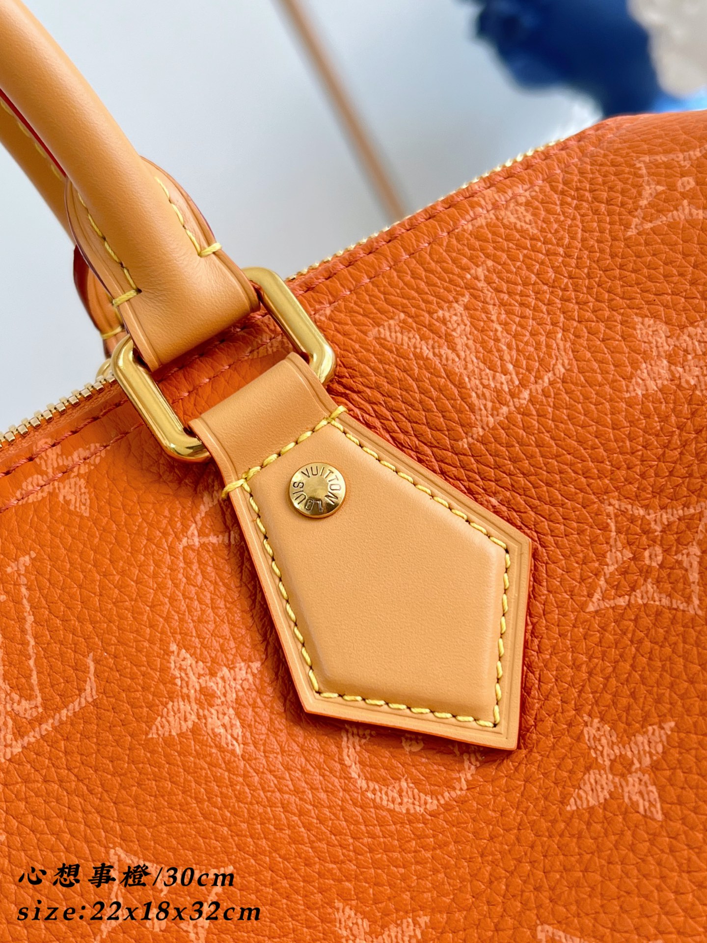 Louis Vuitton Basic Bag Cow Leather 30cm-m-l-s