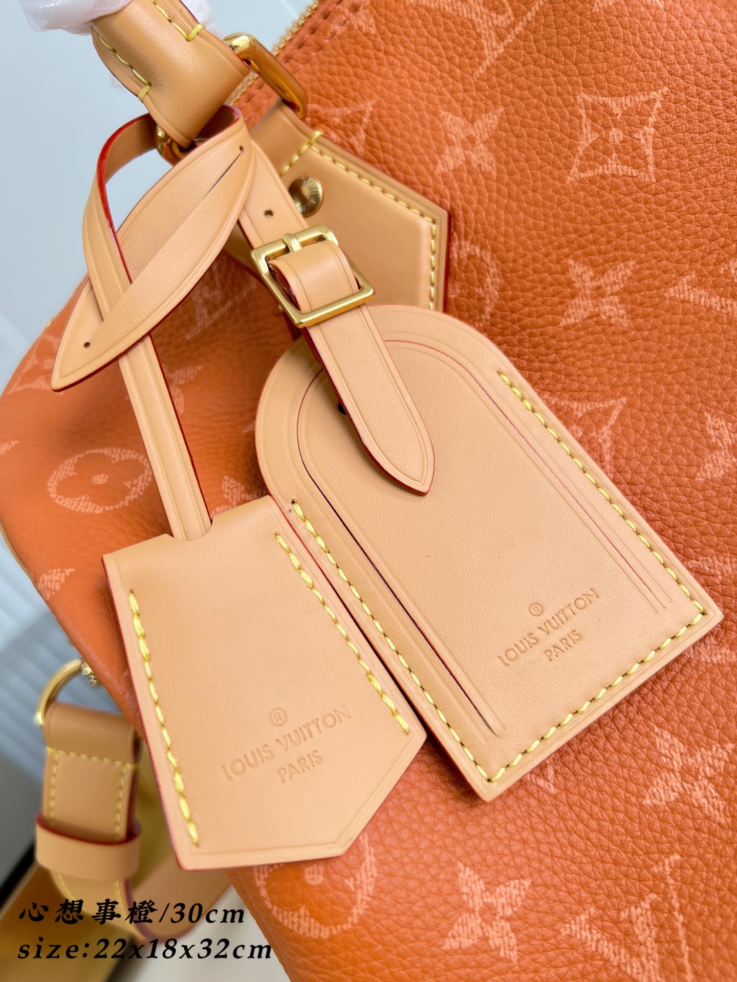 Louis Vuitton Basic Bag Cow Leather 30cm-m-l-s