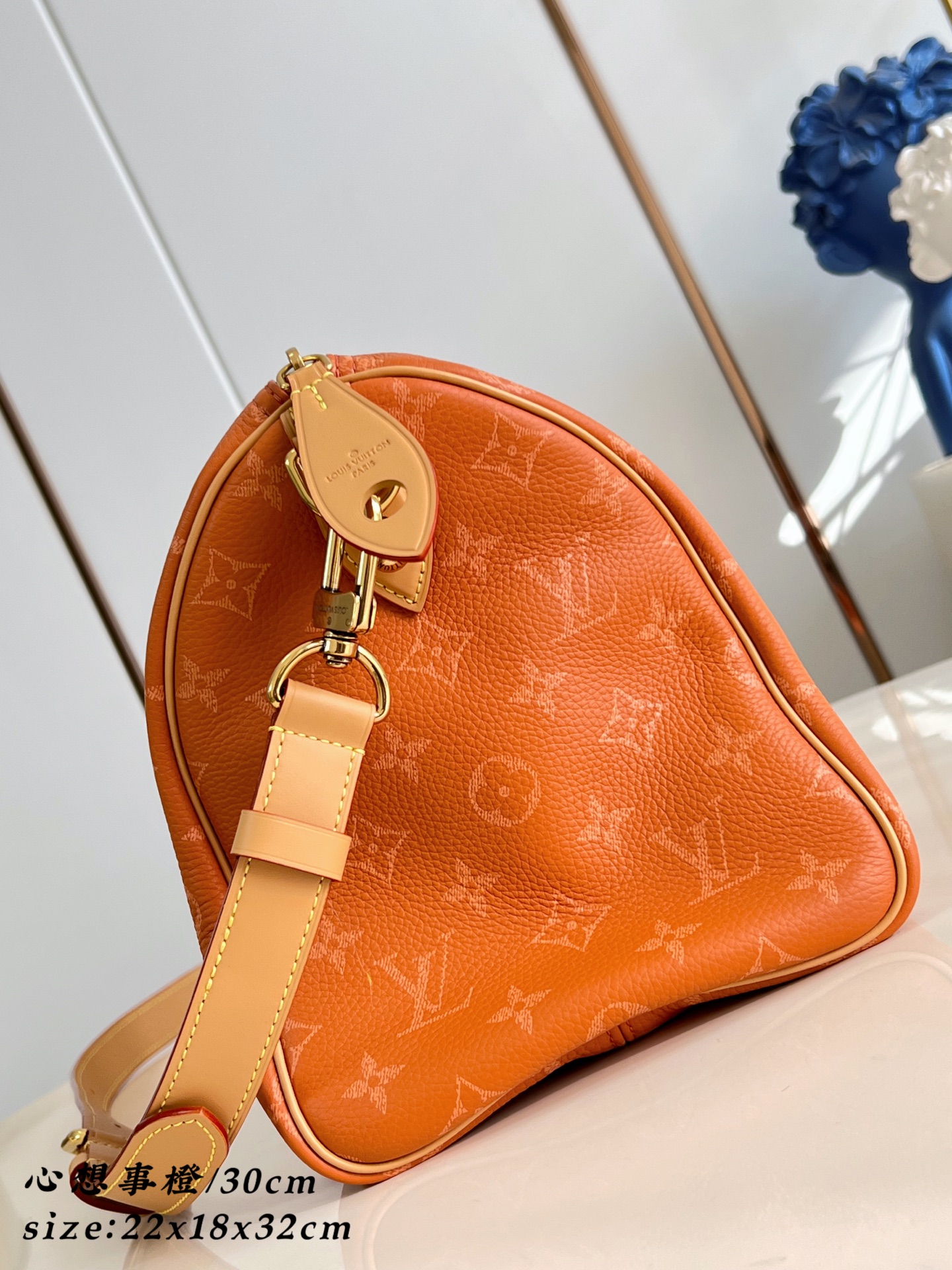Louis Vuitton Basic Bag Cow Leather 30cm-m-l-s