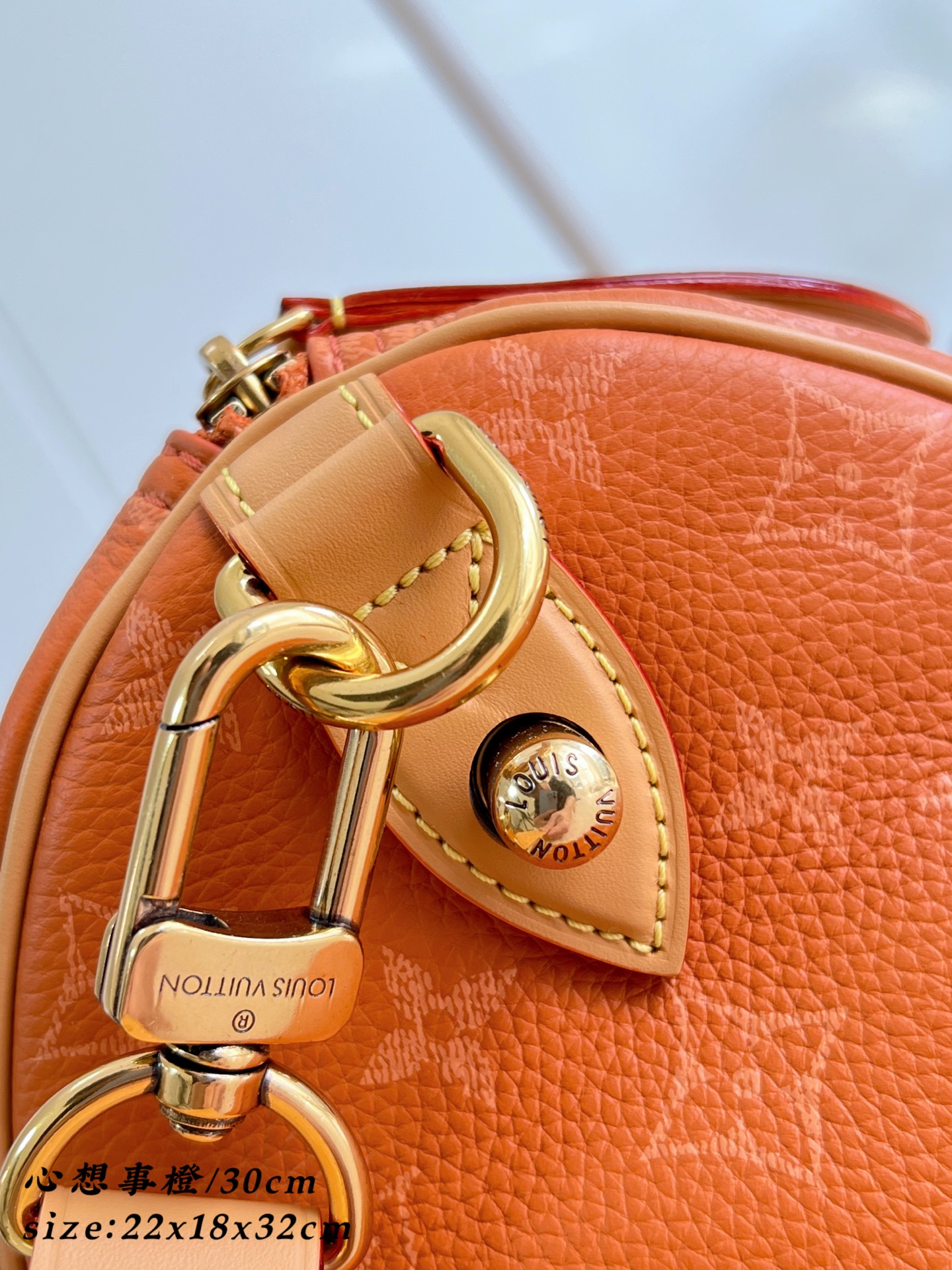 Louis Vuitton Basic Bag Cow Leather 30cm-m-l-s