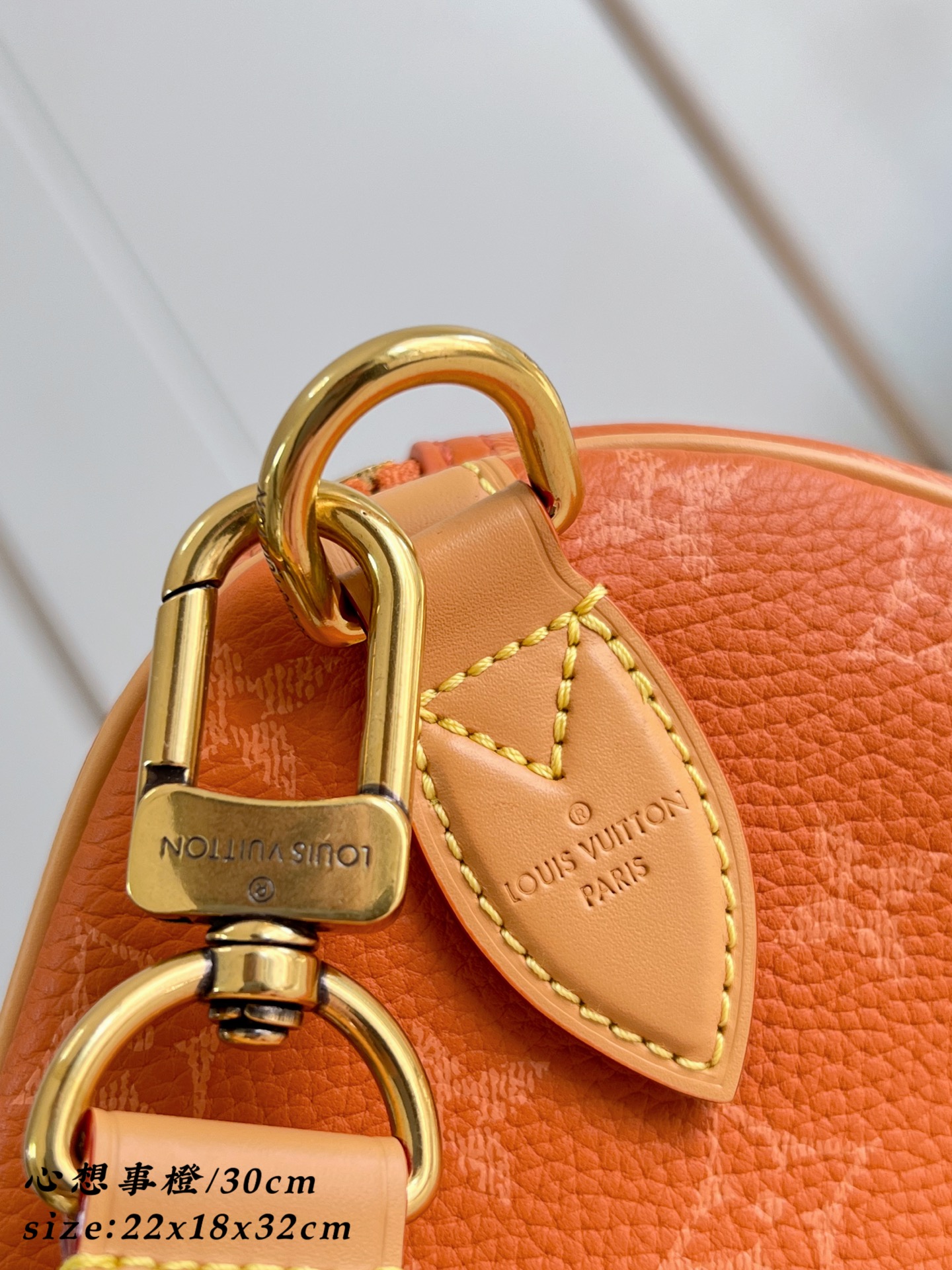 Louis Vuitton Basic Bag Cow Leather 30cm-m-l-s