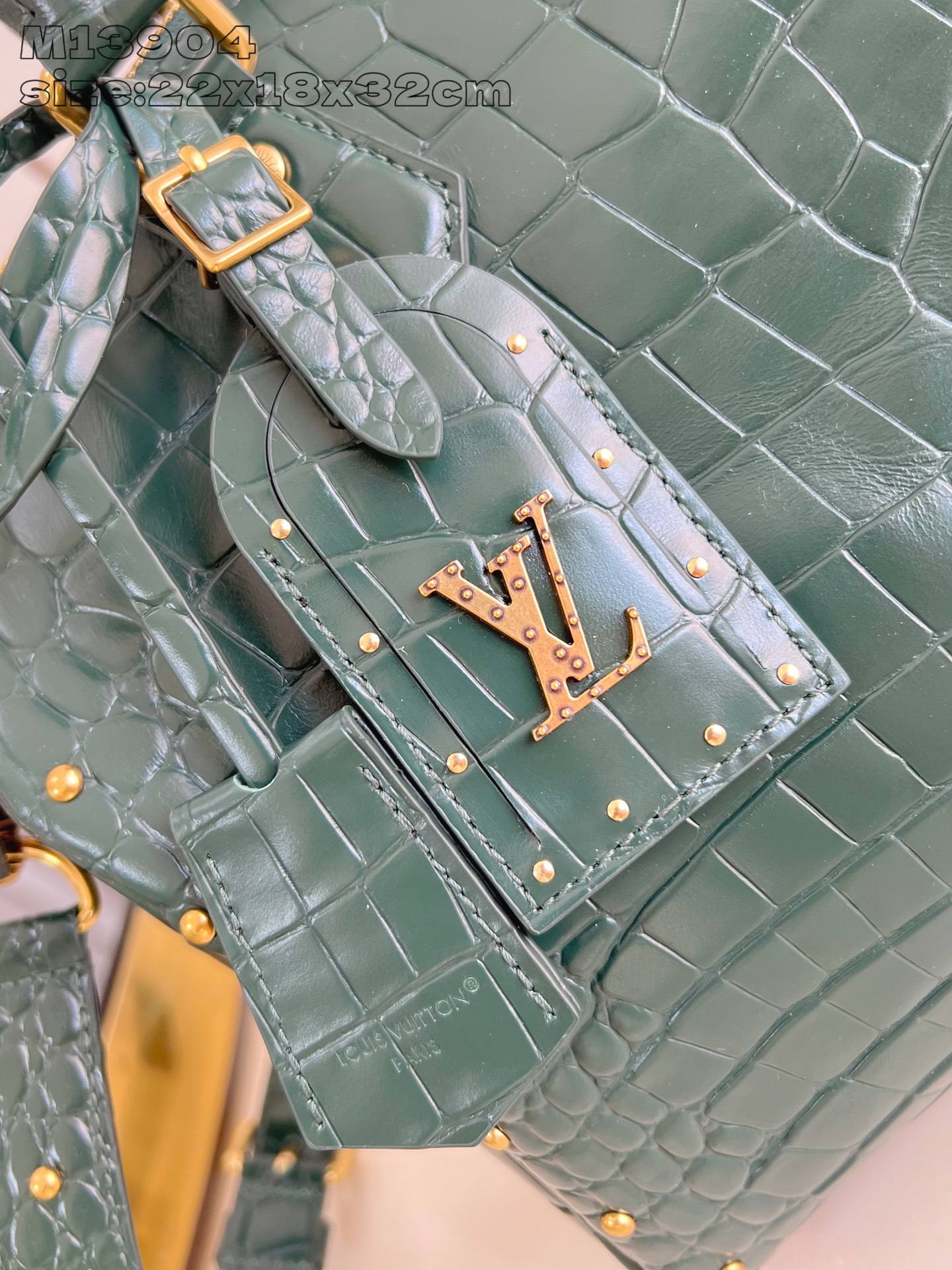 Louis Vuitton Basic Bag Cow Leather M-l-s