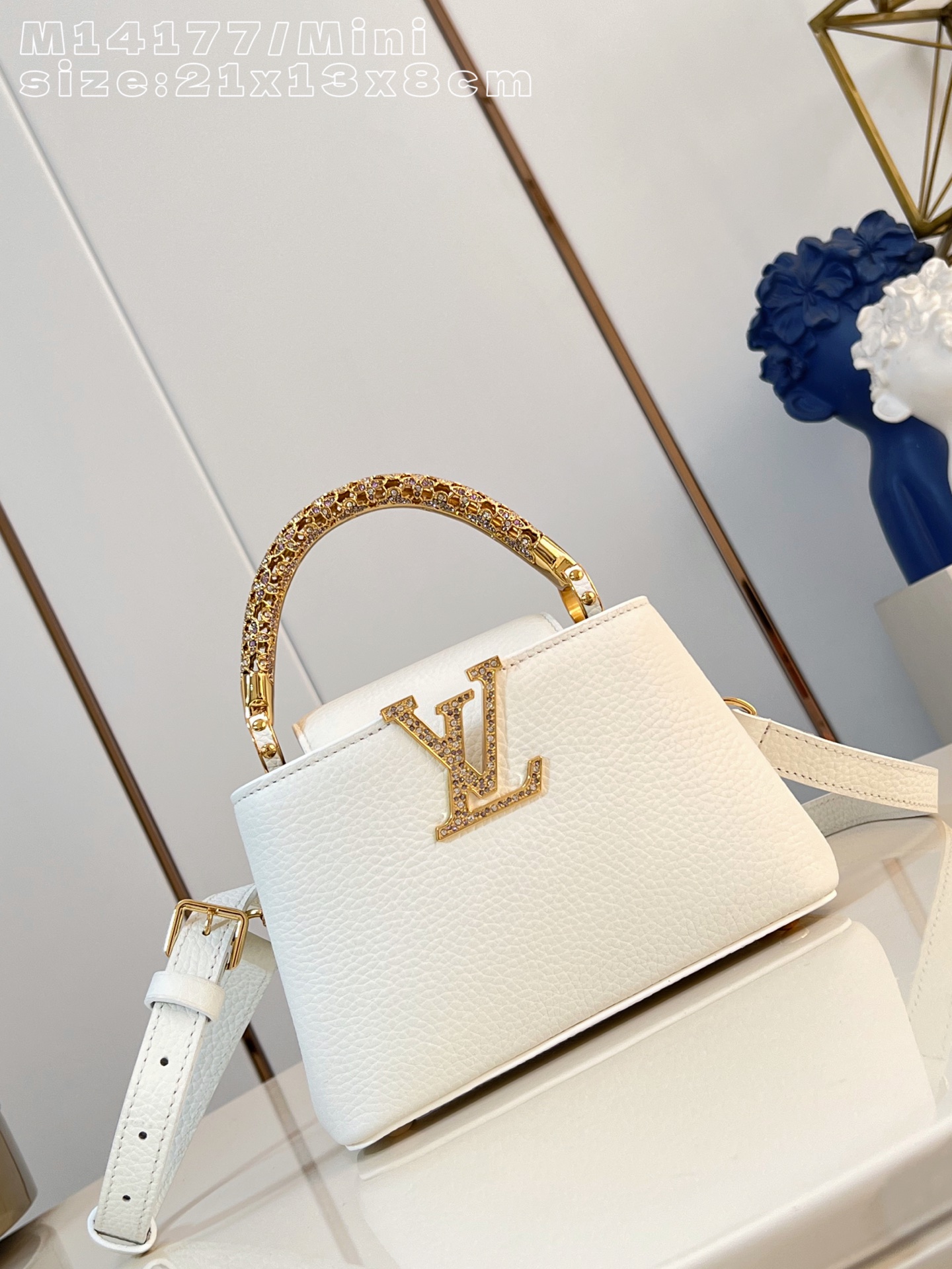 Louis Vuitton Basic Bag Cow Leather M-l-s