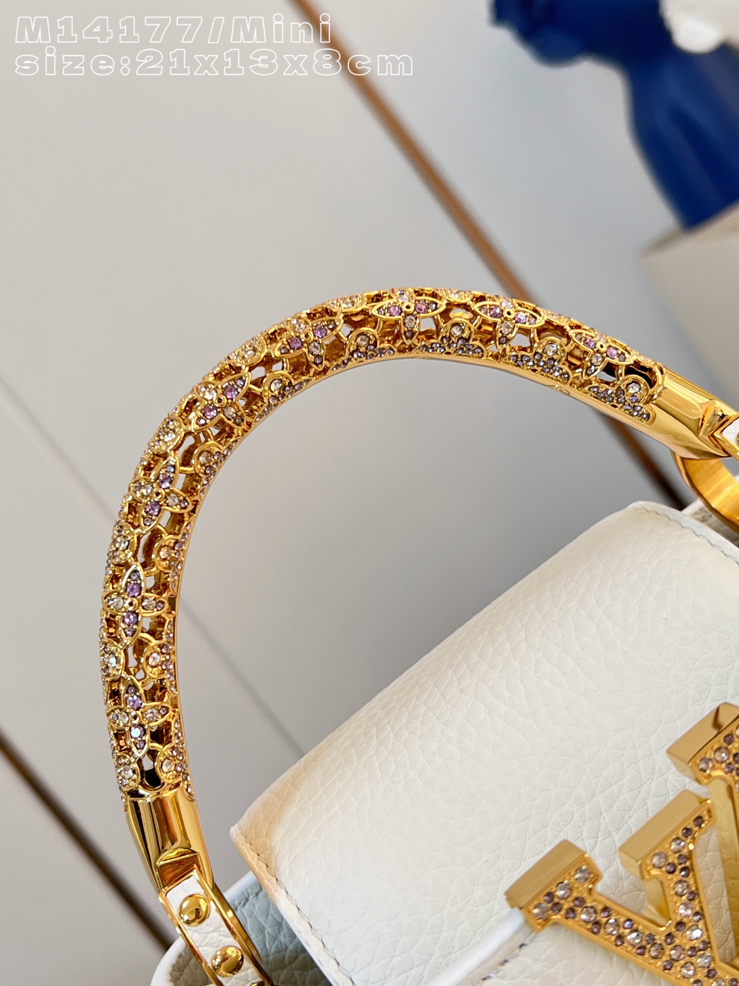 Louis Vuitton Basic Bag Cow Leather M-l-s