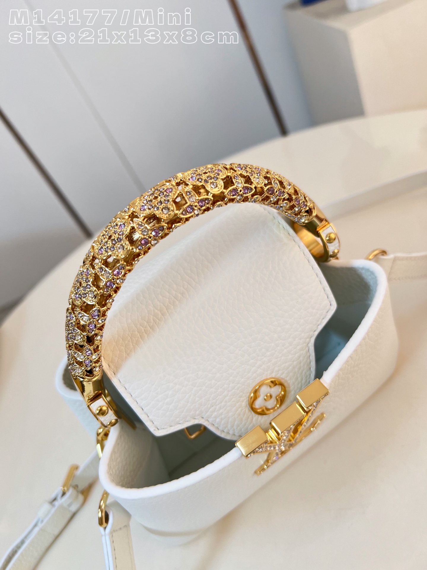 Louis Vuitton Basic Bag Cow Leather M-l-s