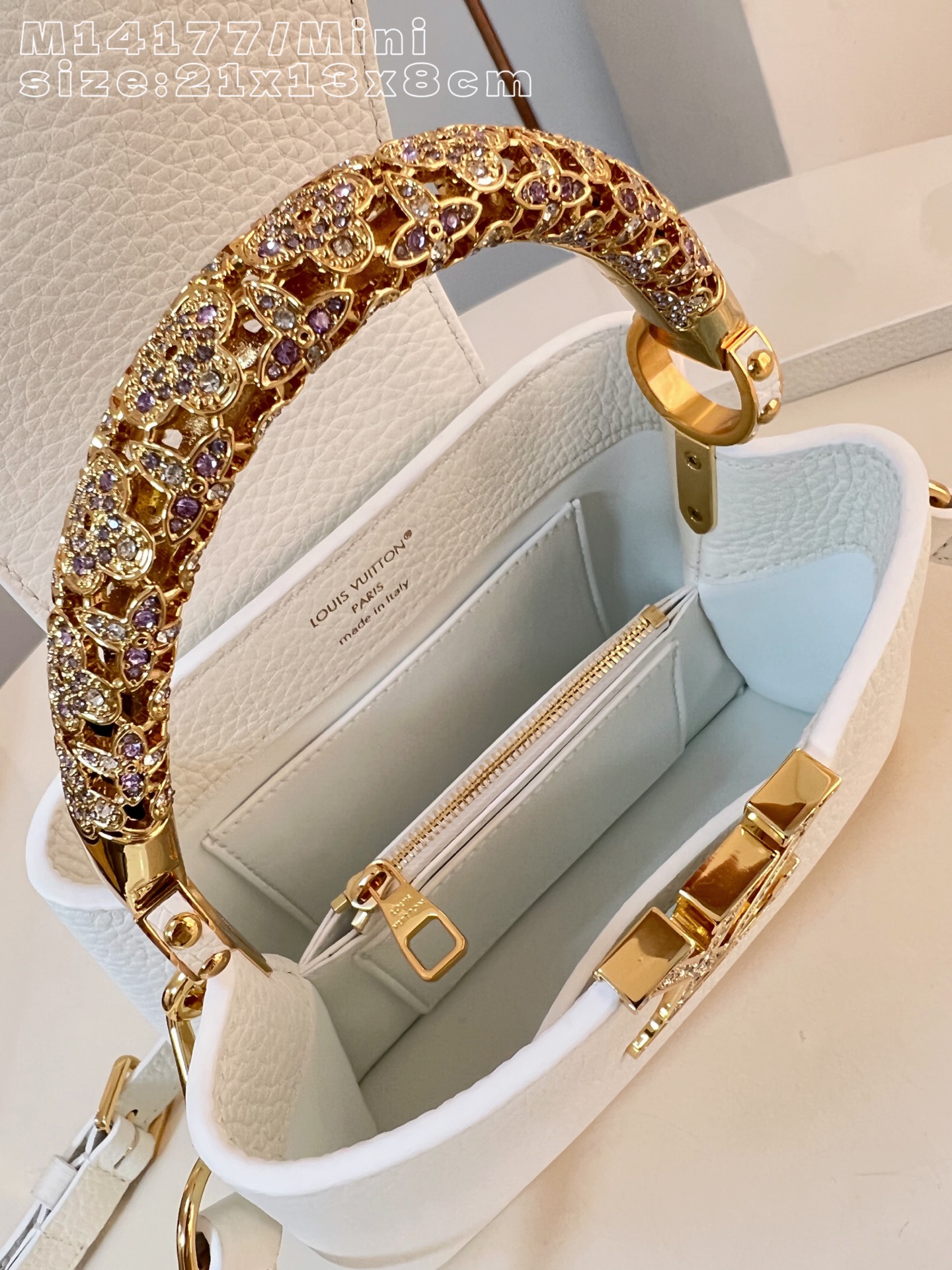 Louis Vuitton Basic Bag Cow Leather M-l-s