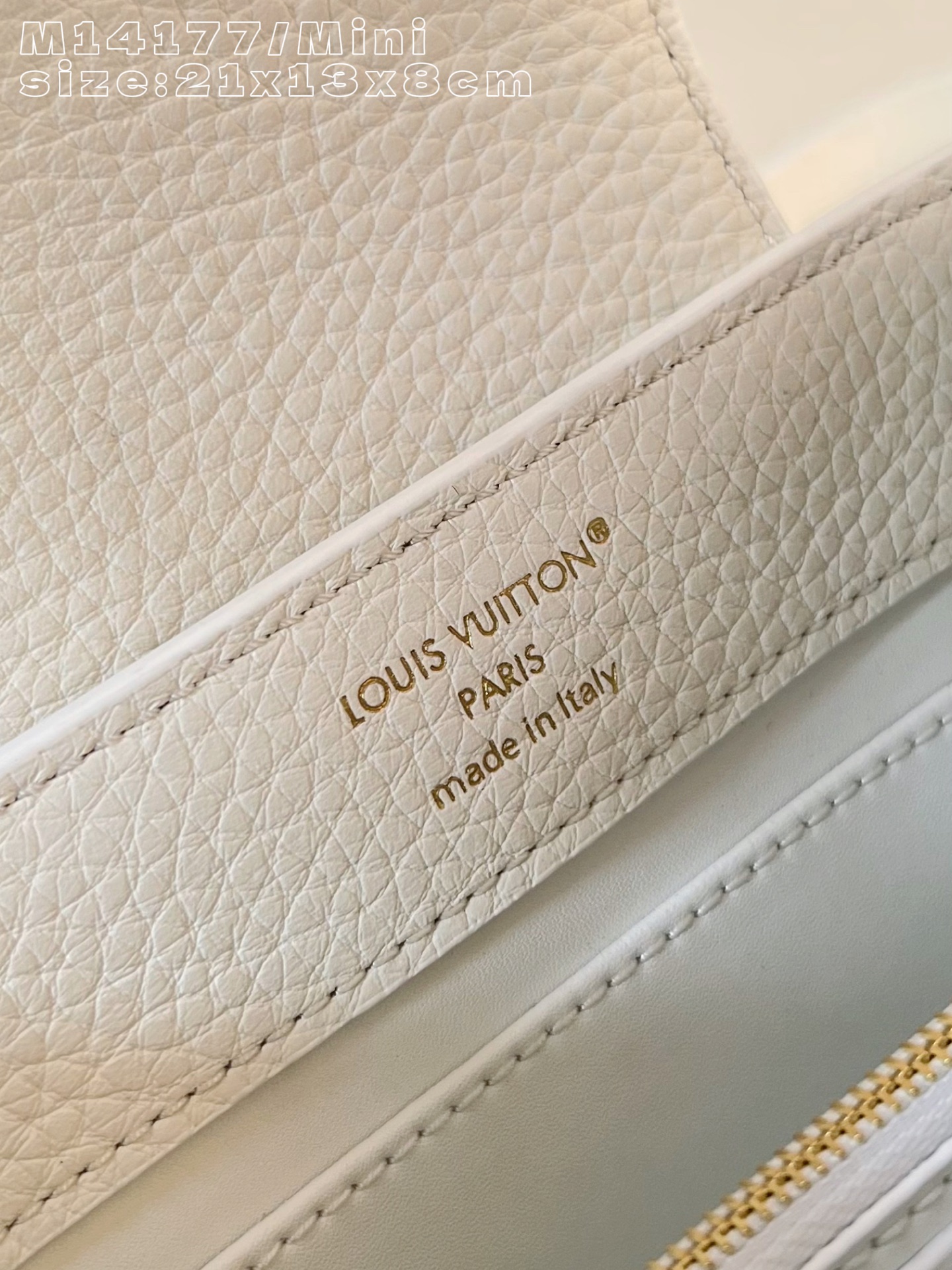 Louis Vuitton Basic Bag Cow Leather M-l-s