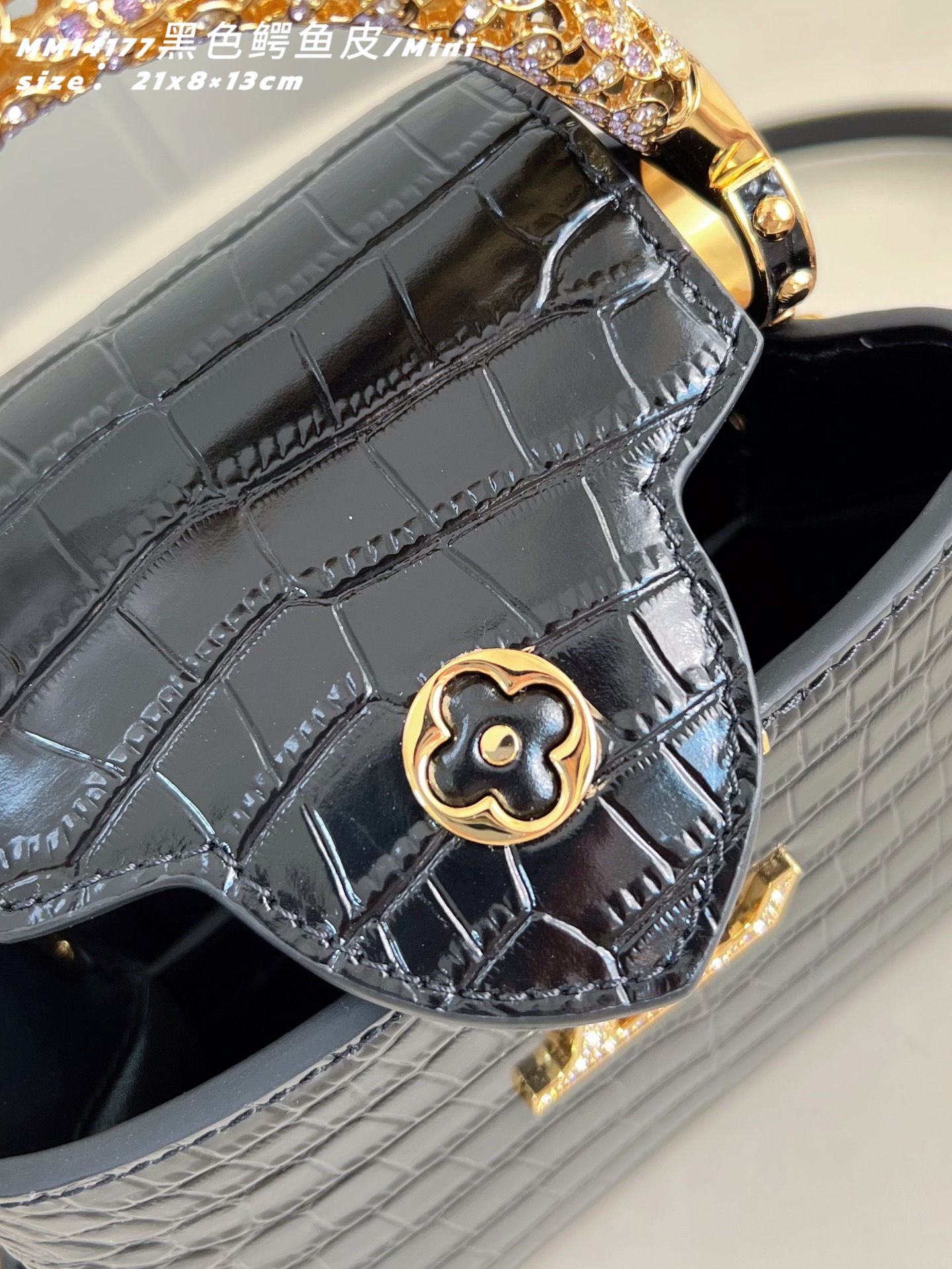 Louis Vuitton Basic Bag Cow Leather M-l-s